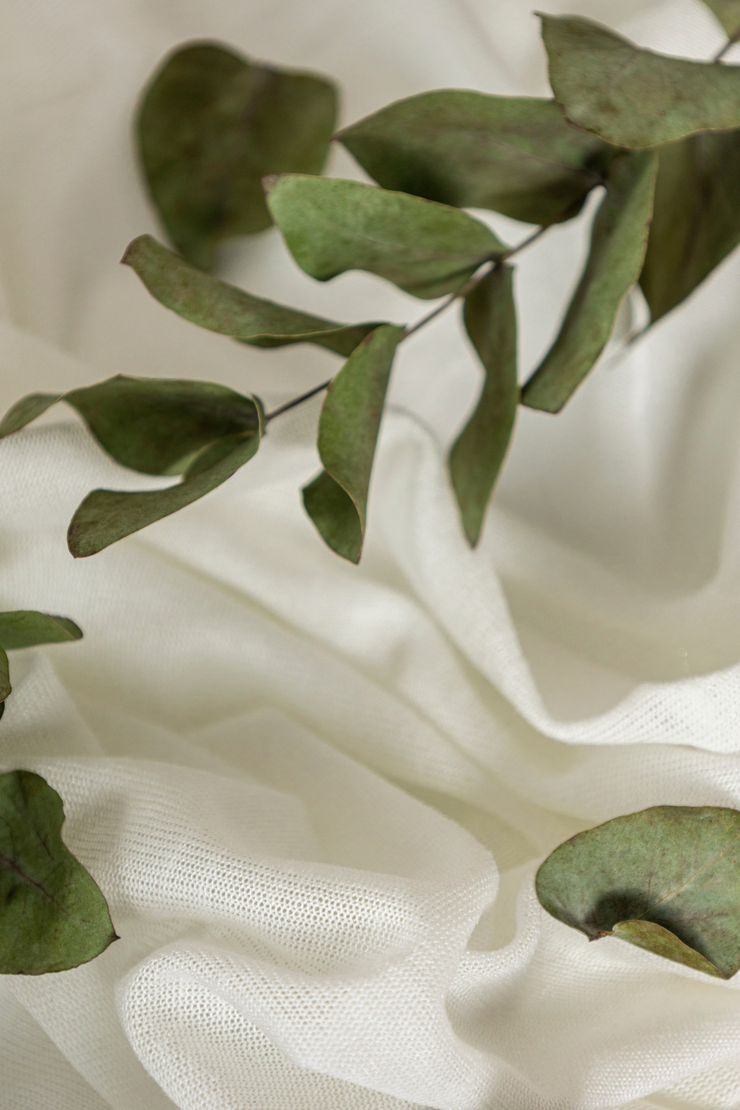 О нас. Фото и видео контент для бизнеса в Москве и Московской области