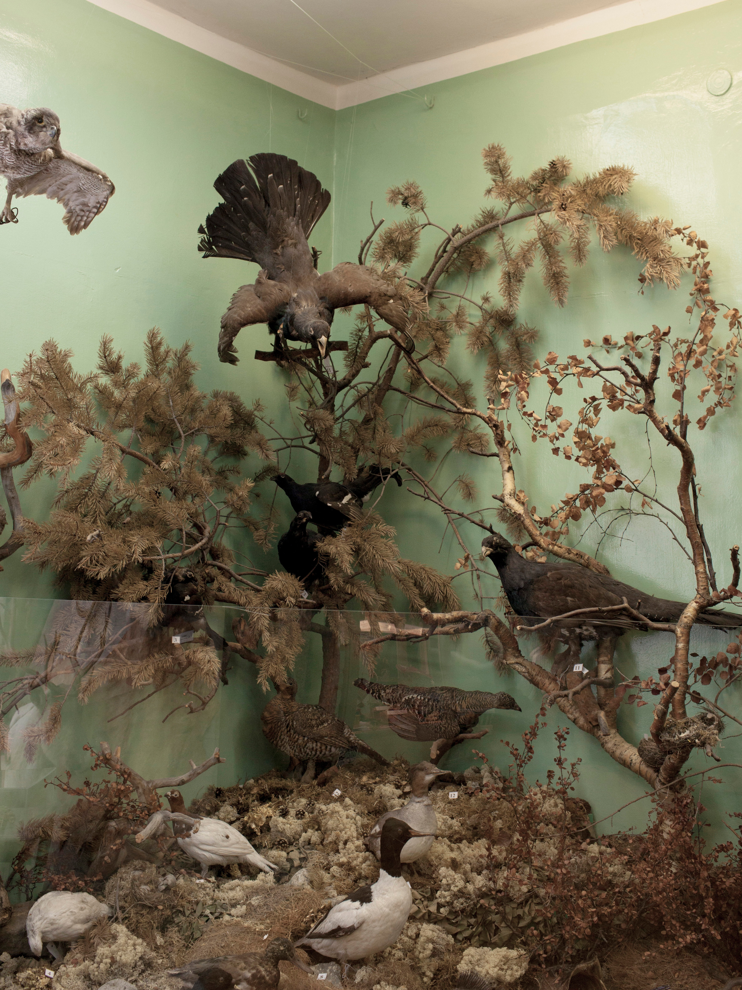 © Валерий Коньков