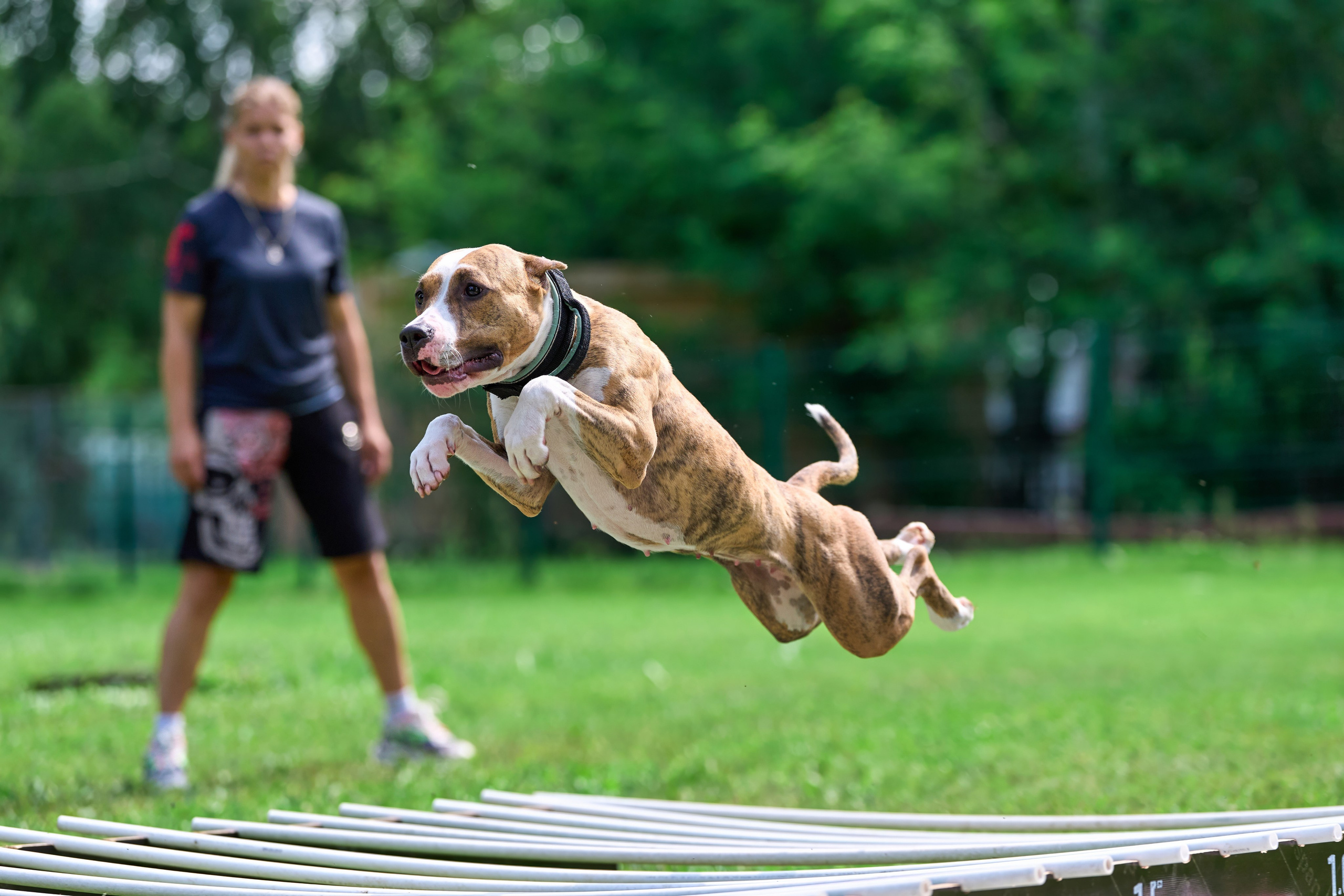 Двухдневные соревнования «Jump'n'Gym Fest — 2024». Фотограф-анималист Михаил Манухин