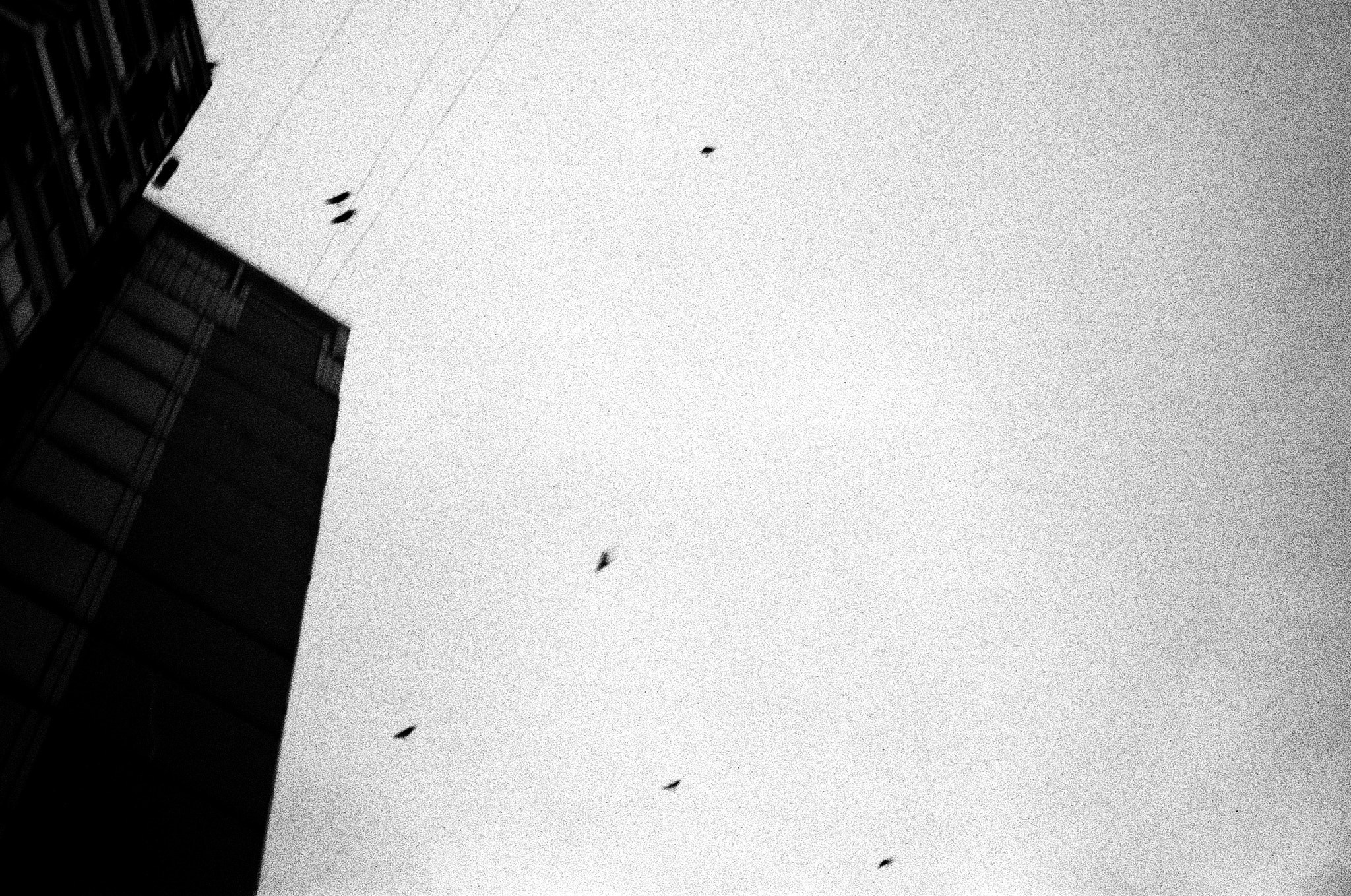 Пьюти-фьют. Игорь Скабелин