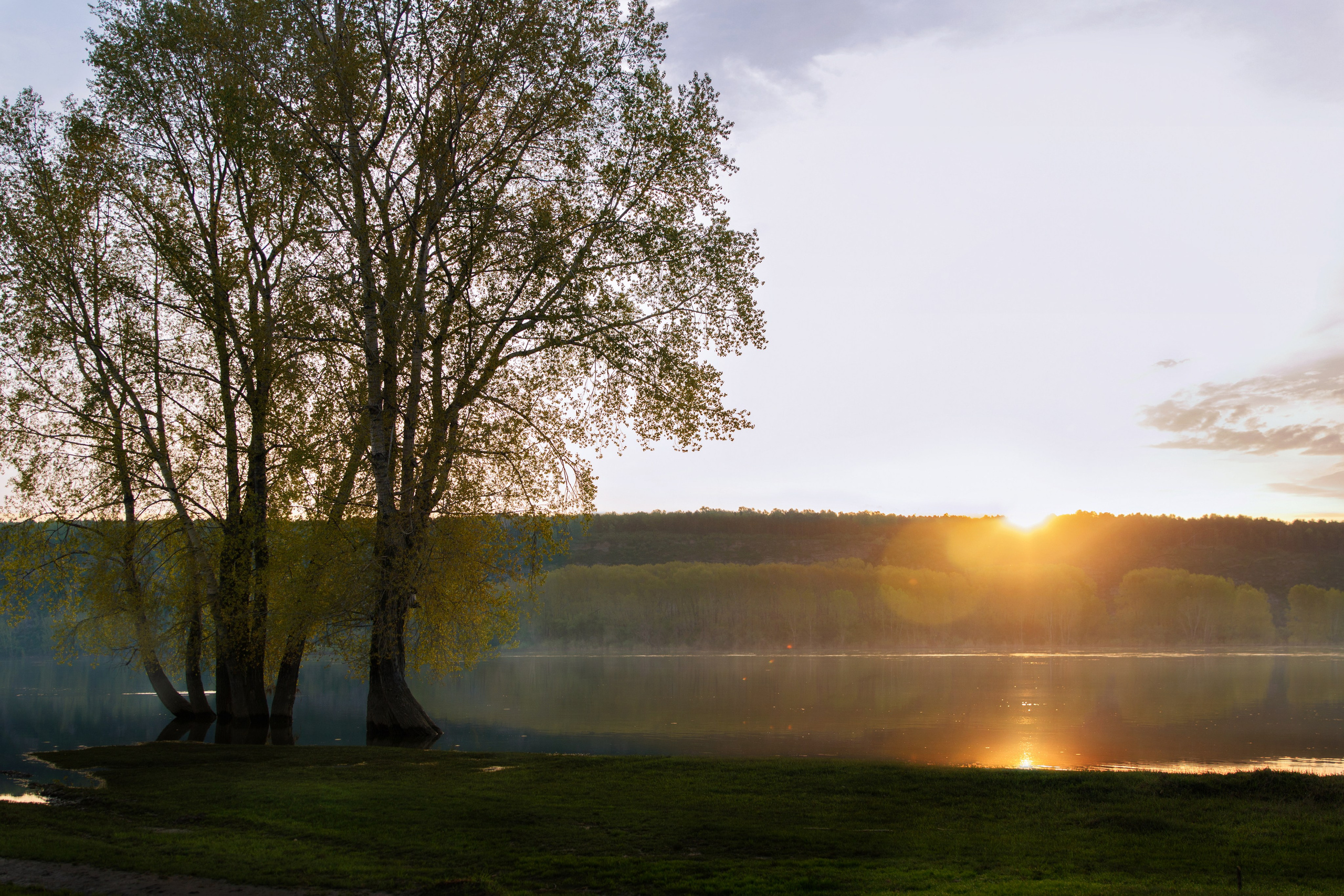Подберу кадр под ваш интерьер и настроение. Фотограф Кирилл Мешков Кемерово