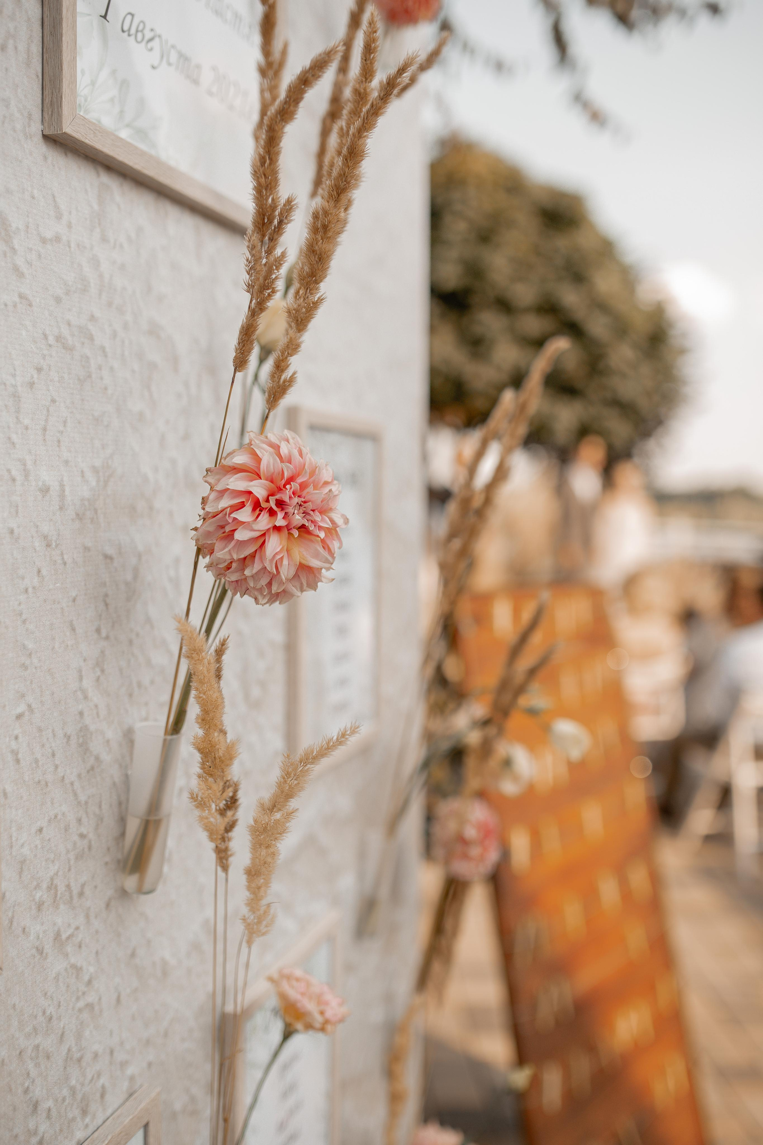 Вадим+Анастасия. Свадебный и семейный фотограф в Белгороде Елена Риннова