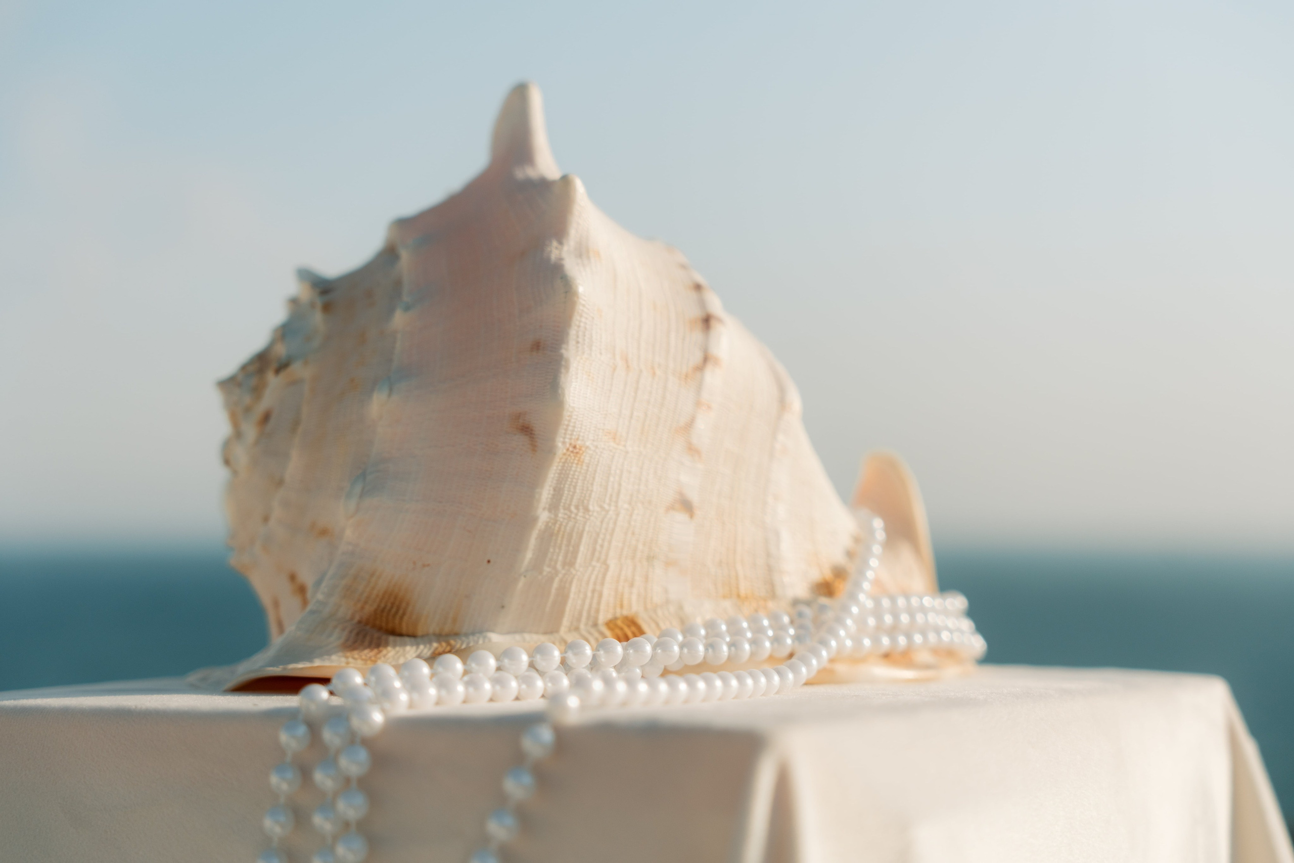 Алексей и Анна