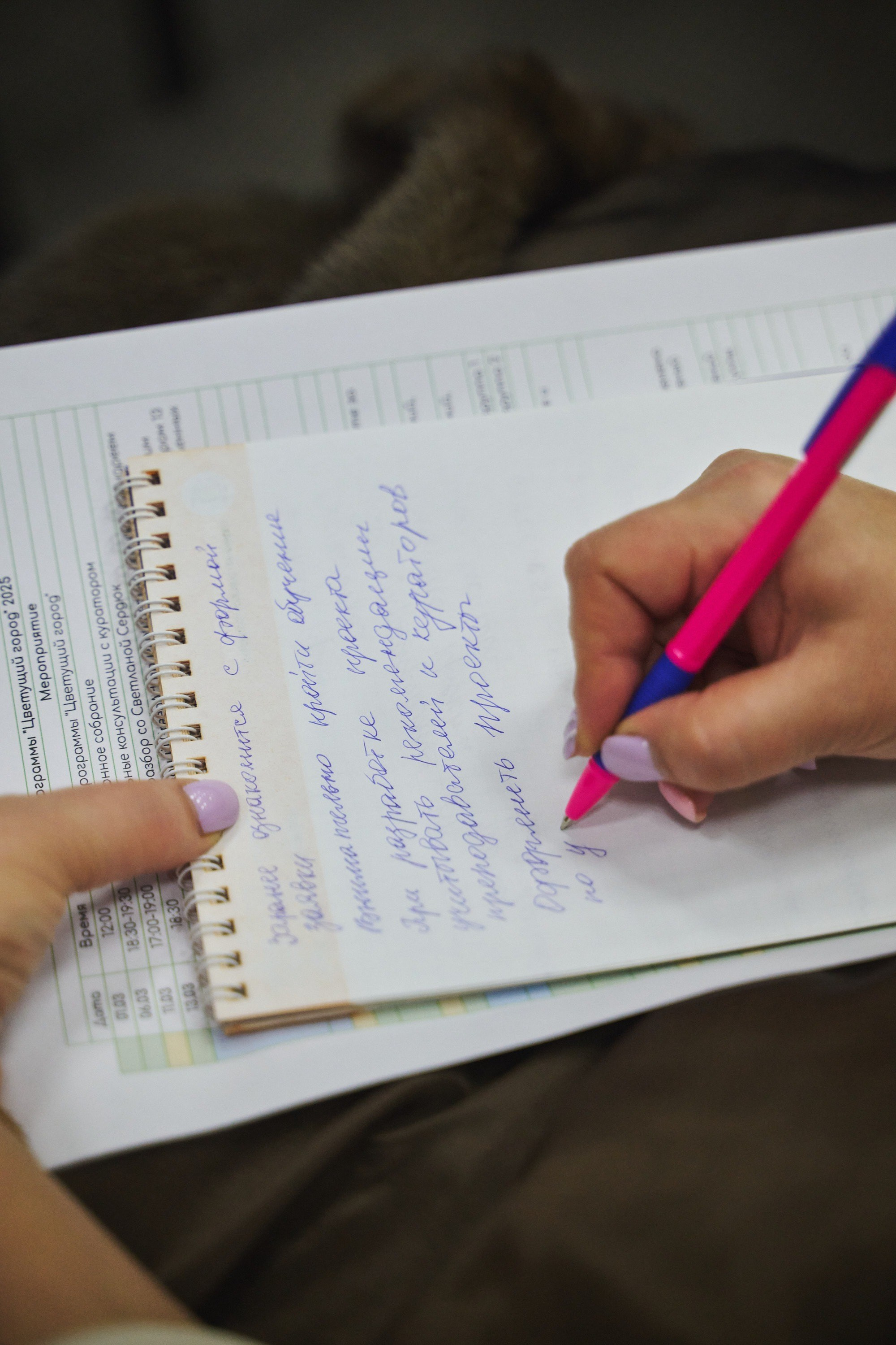 Ива Фонд — Цветущий город город Иваново. Фотограф в Иваново: Каталожная съемка одежды и постельного белья, Wildberries