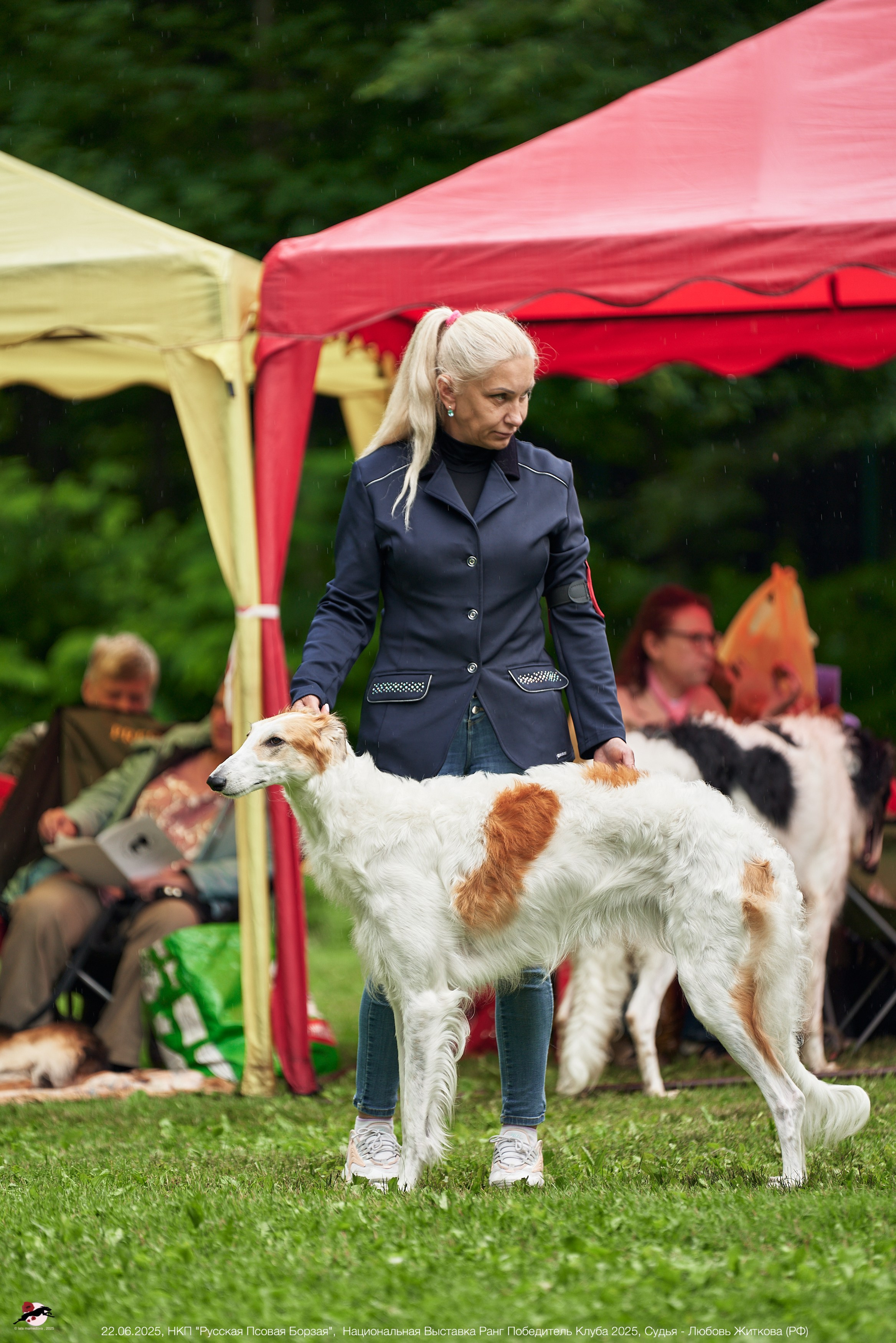 22.06.2025 | Национальная Выставка НКП "Русская Псовая Борзая"