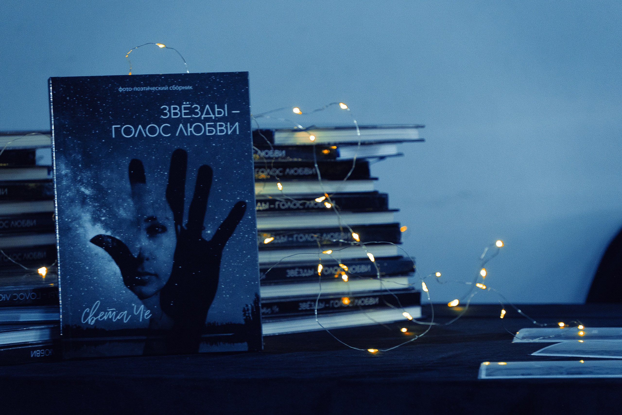 КОНЦЕРТ. Света ЧЕ. Мастер интеллектуальной фотографии. Краснодар