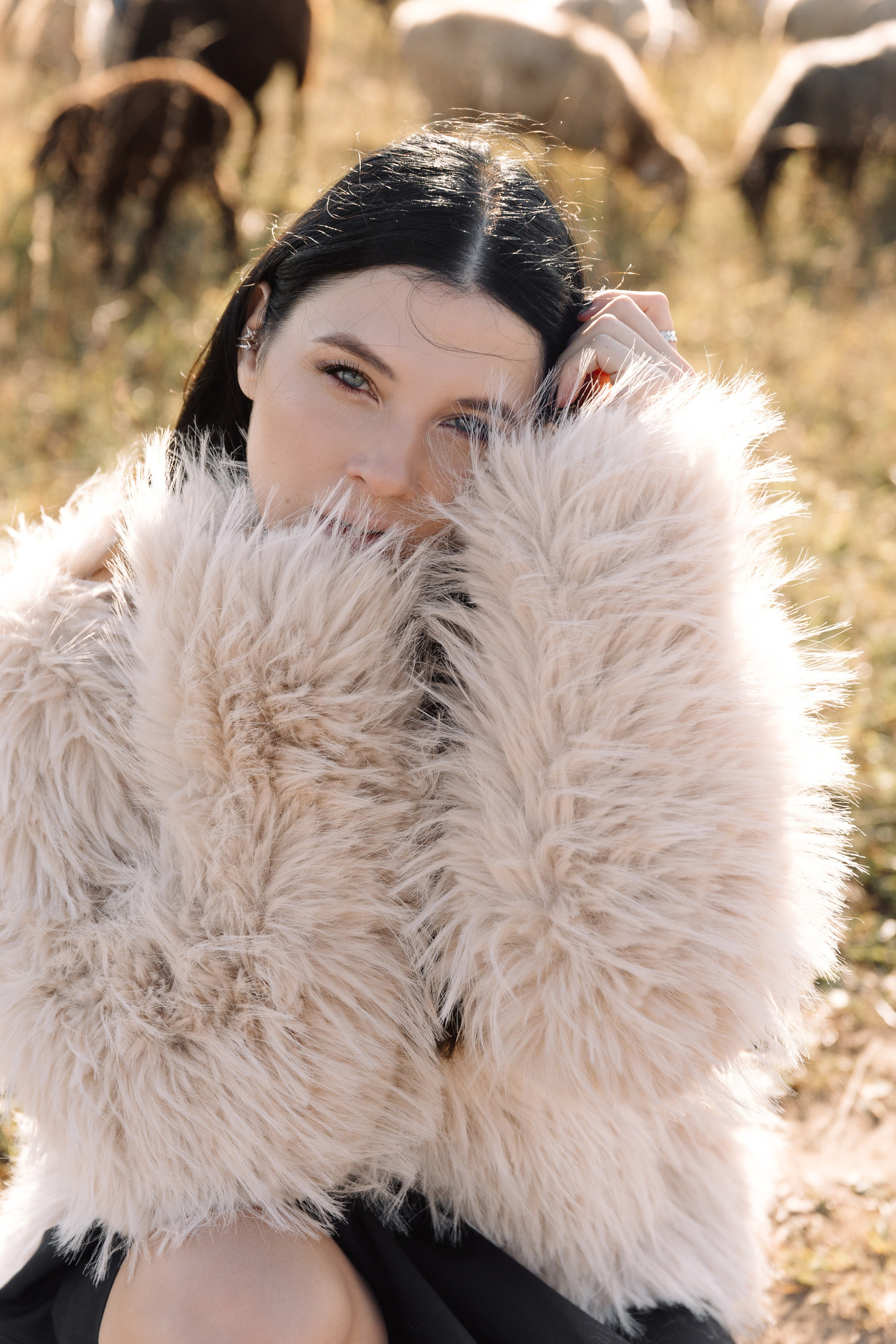 Охота на овец