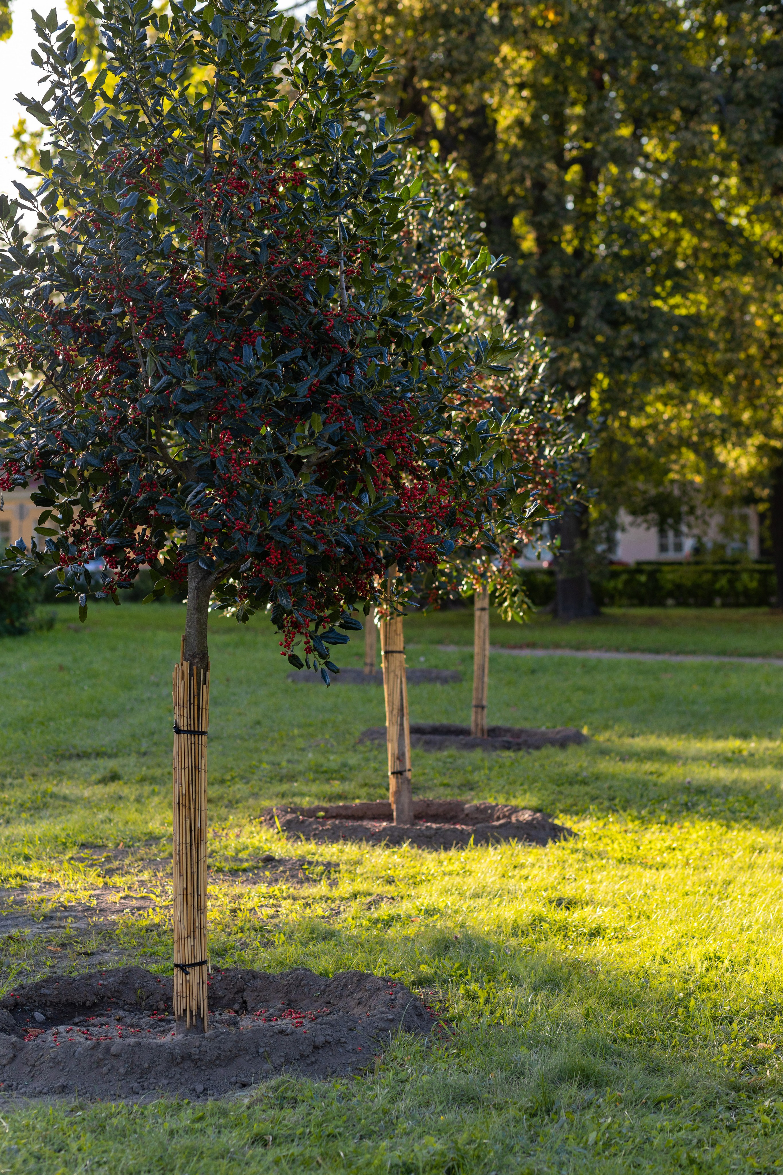 ФОТОСЕССИЯ В ПЕТЕРГОФЕ. ГДЕ СНИМАТЬ В ПЕТЕРГОФЕ