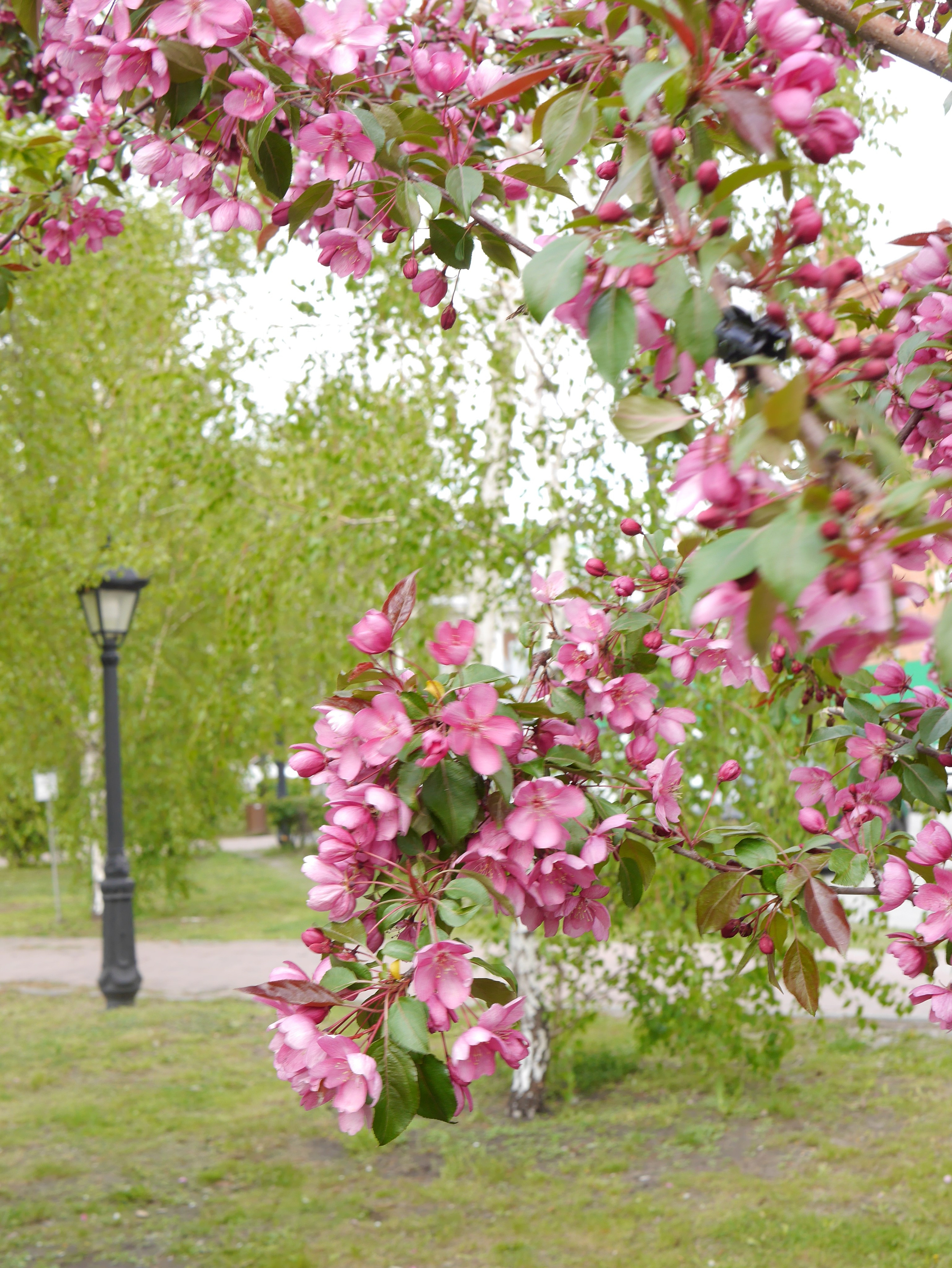 Вся красота мира в одной картинке