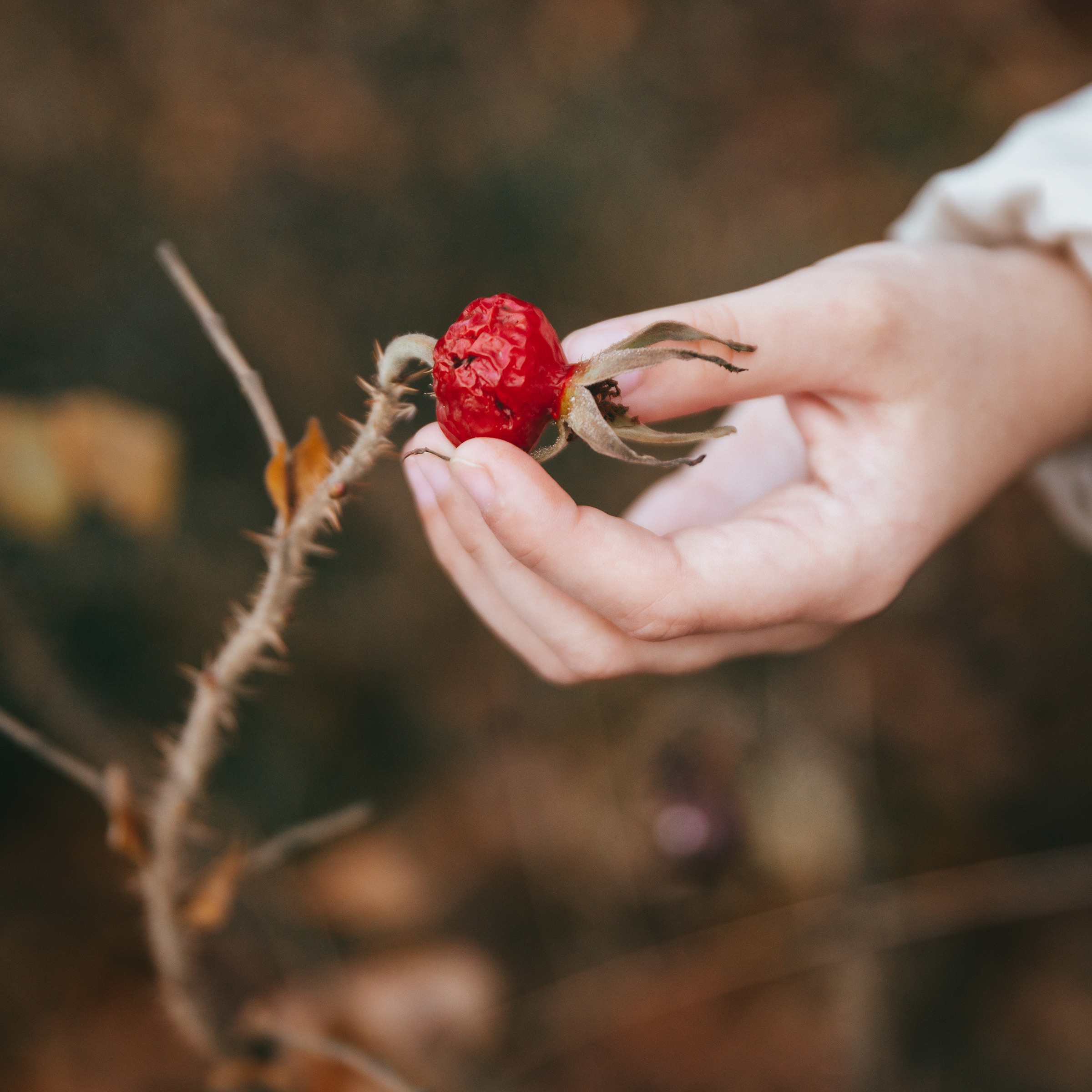 Алина в Москве. Фотограф в Москве Даша Зуева