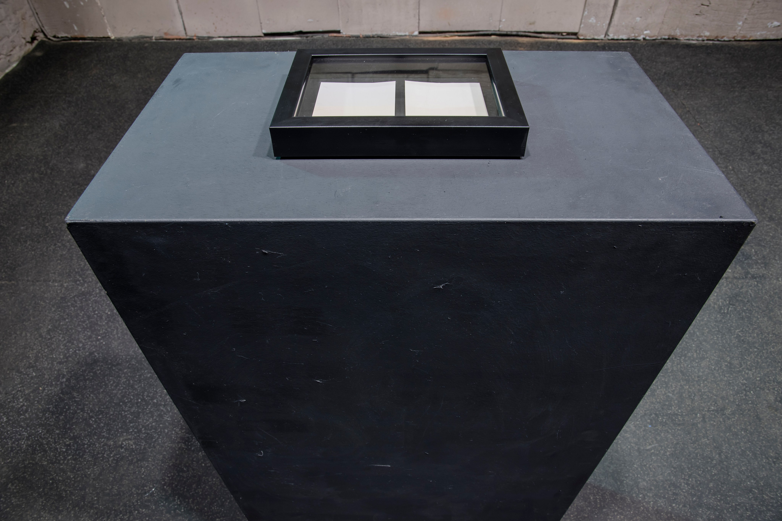 «Почти увиденное», групповая выставка, 26.09-04.10, ЦТИ «Фабрика», Москва. Лера Круглова