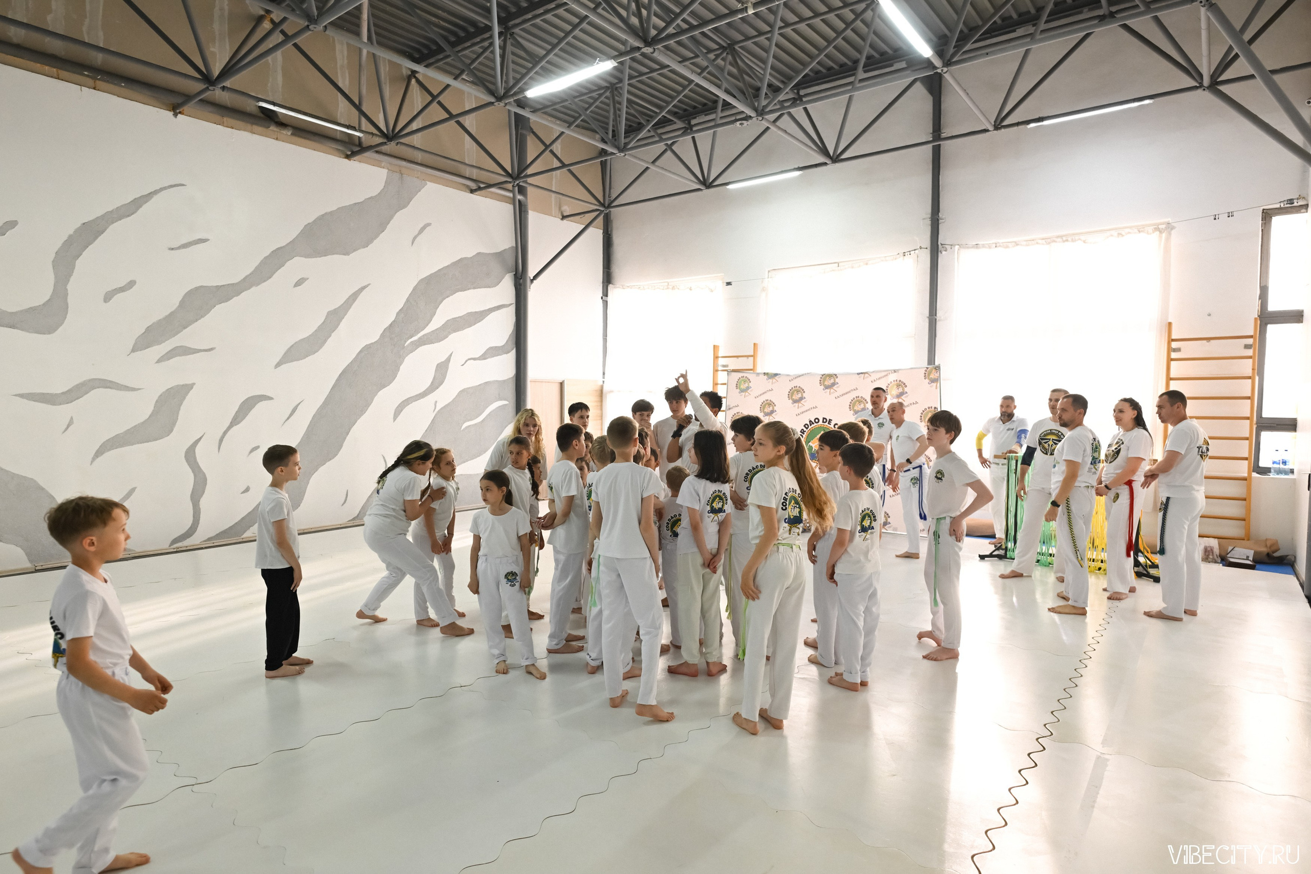 Capoeira: 4-е batizado e Troca de cordao. VIBECITY.RU Вайб Сити Ру Фоторепортажи Фотоотчеты Калининград