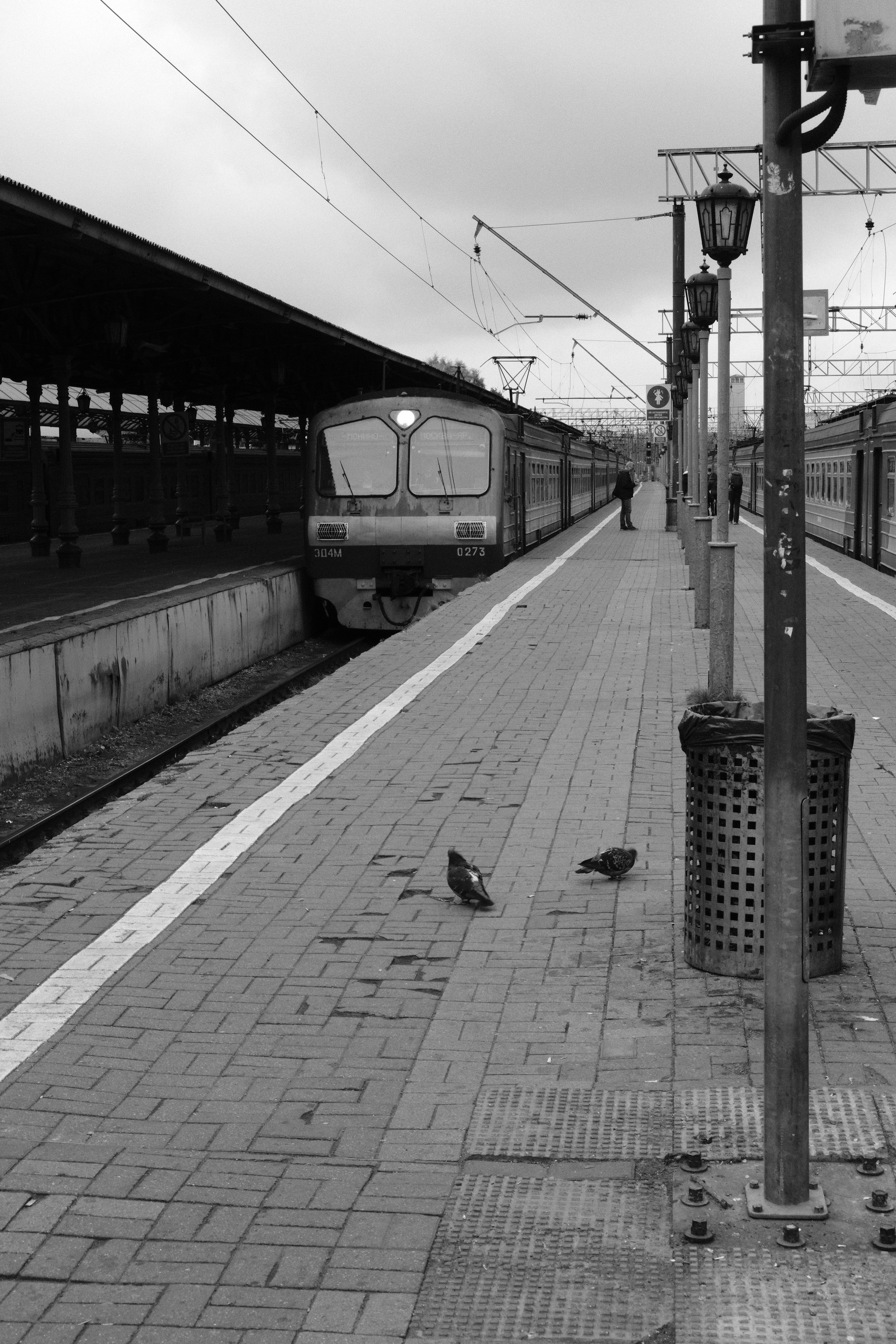 Сергиев Посад. Фотограф Маргана Лоция