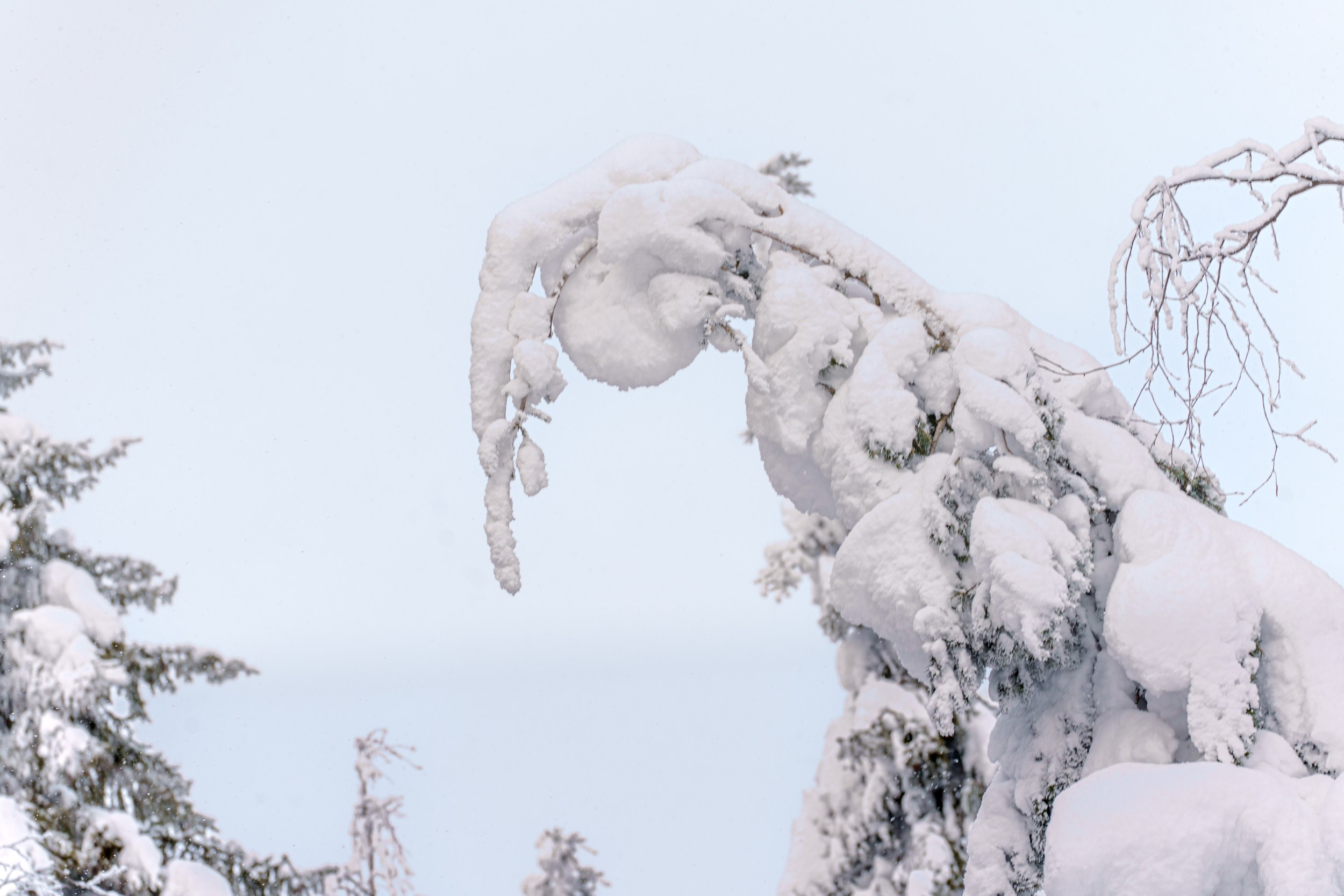 Зимняя сказка Пермского края