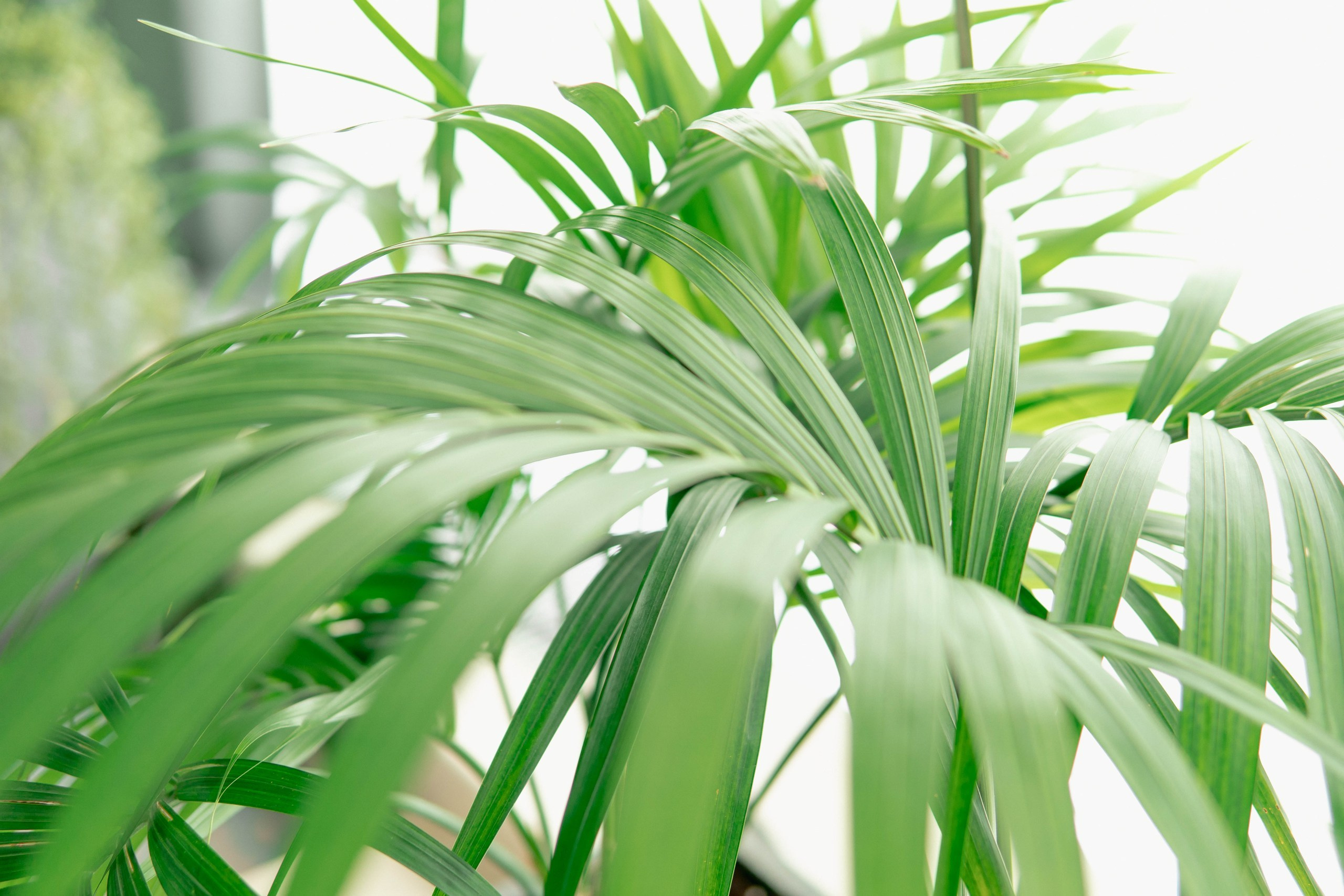 Репортажная фотосъемка мероприятия в отеле Mariott