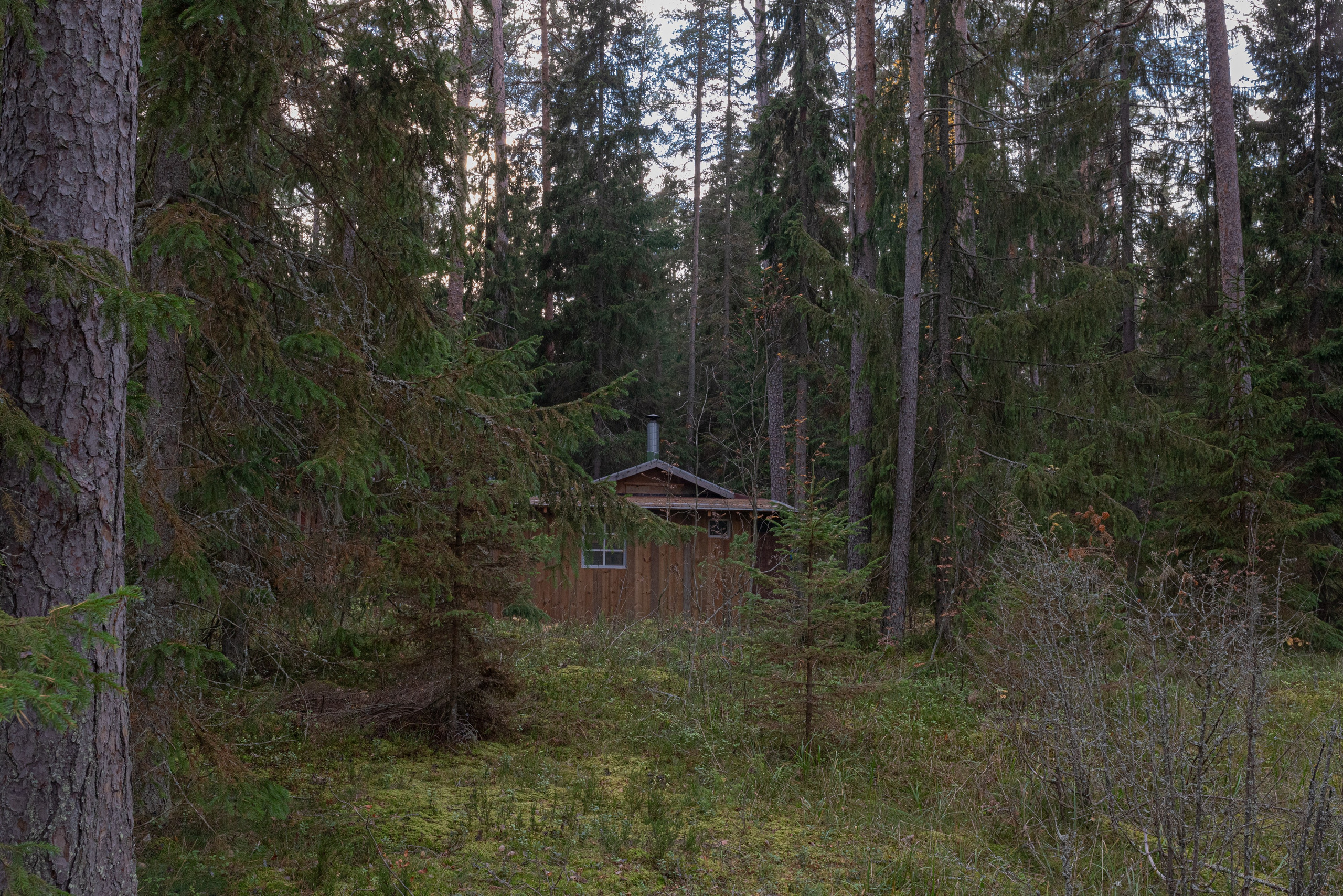 The High Land. Katerina Churbakova | Documentary photographer