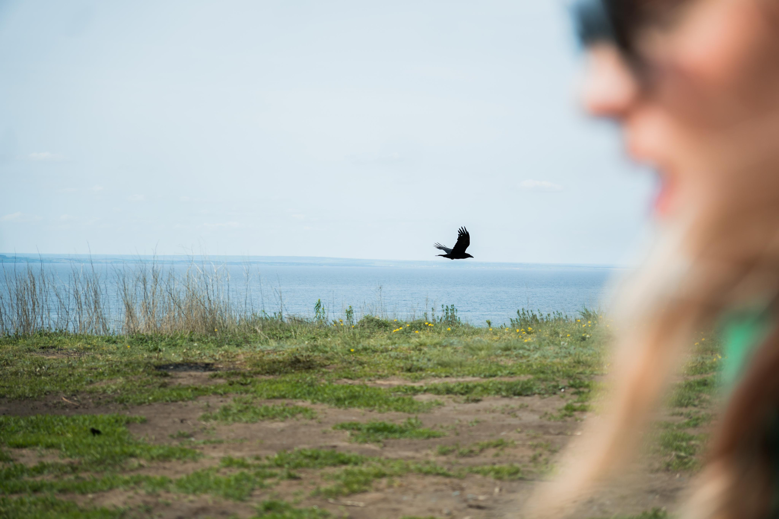 Путешествие девчонки. Семейный и детский фотограф в Самаре Анна Игнатова