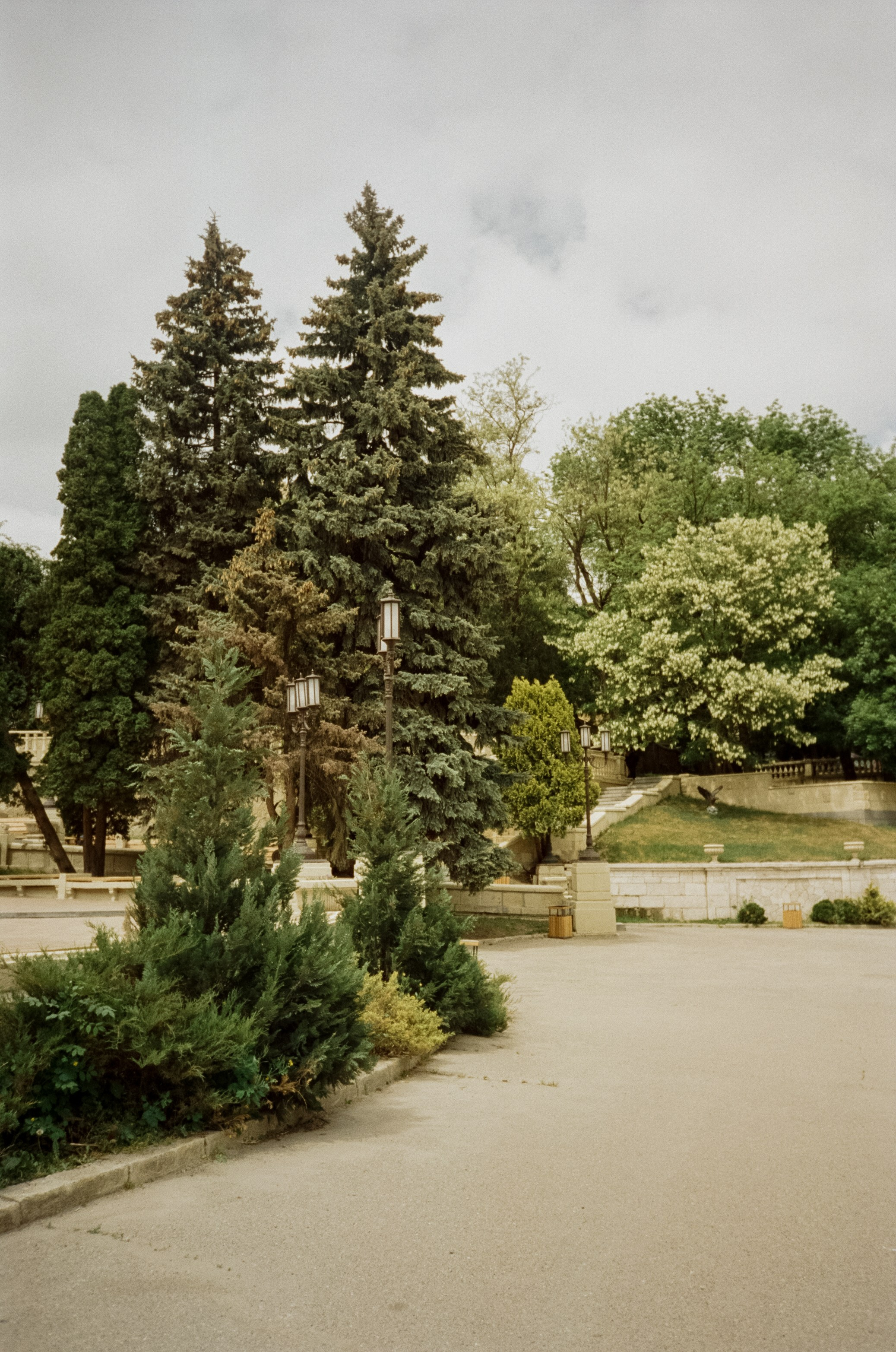 Прогулка в Курортном парке. Ессентуки. Фотограф-документалист Мария Осокина