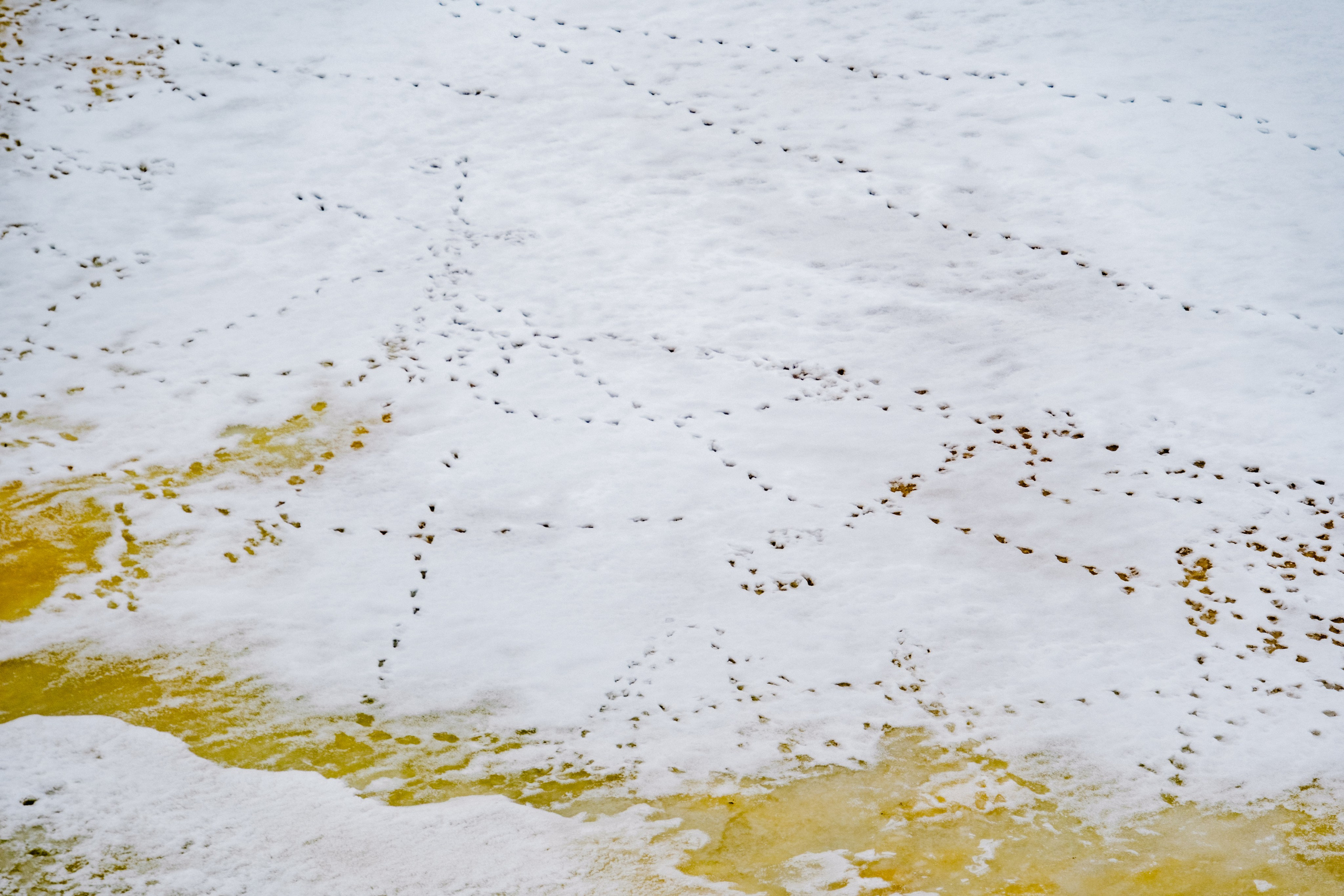 Великий Новгород моими глазами. Детский, семейный и ньюборн фотограф в Москве Юлия Шуарт