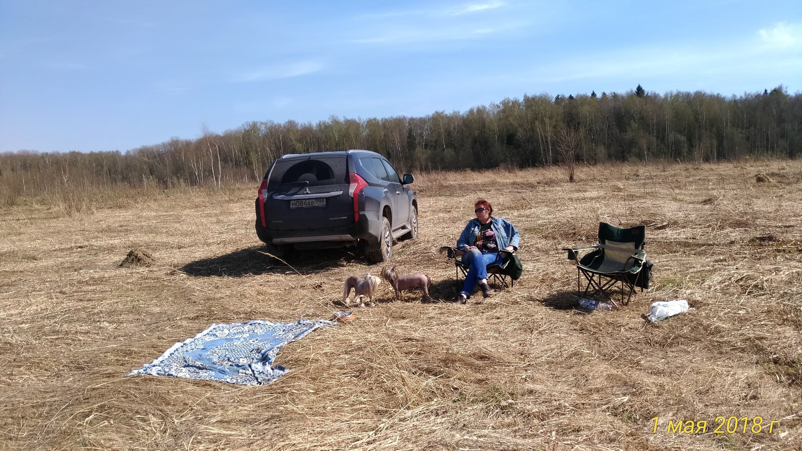 Adventure May 1, 2018 or a nursery on a walk. Chinese Crested Dog Kennel Poale Ell