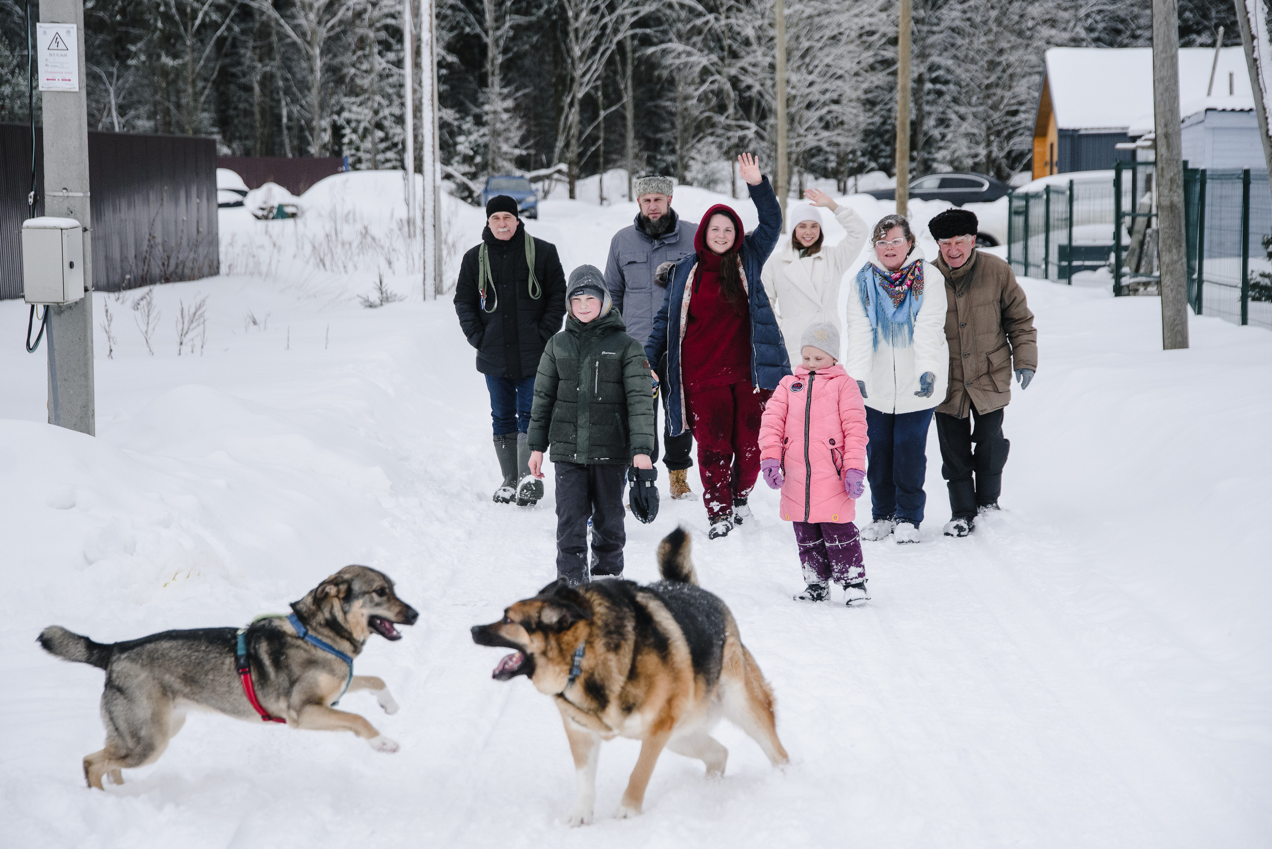 Семейная прогулка по лесу. Фотограф Денис Неместо, портрет, репортаж