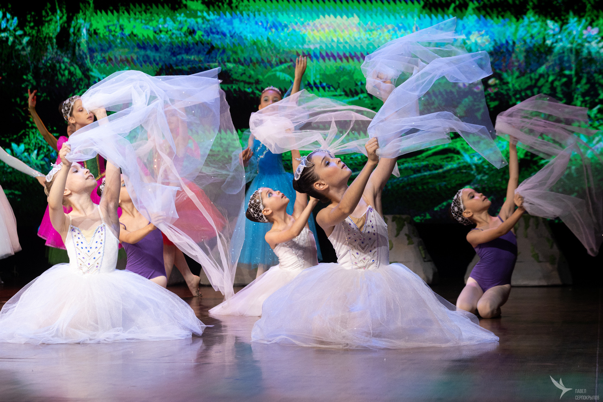 Путешествие в зачарованный лес. Репортажный фотограф в Казани Павел Серпокрылов