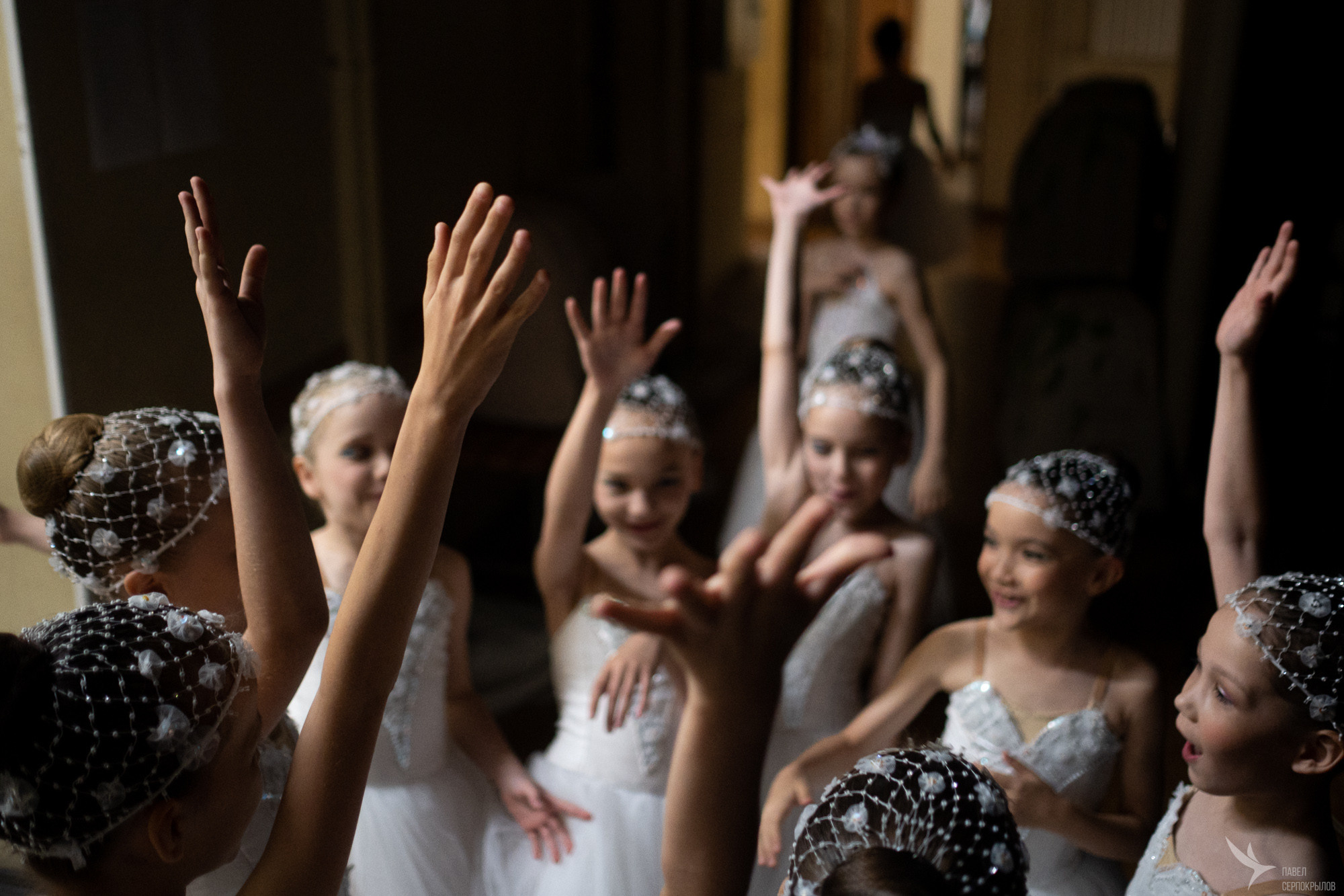 Путешествие в зачарованный лес. Репортажный фотограф в Казани Павел Серпокрылов