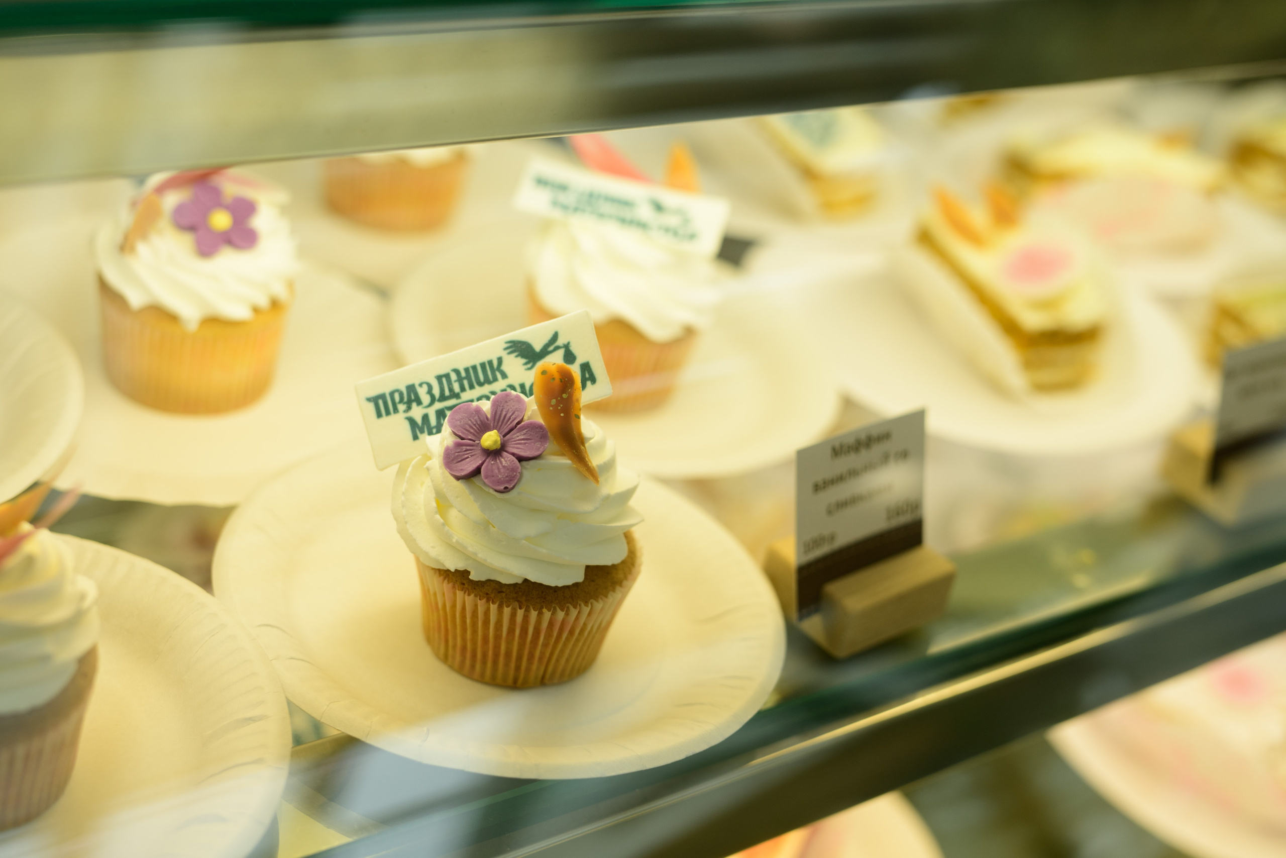 Фотоотчет праздника материнства март 2025 г. Профессиональный фотограф Елена Красилина г.Ярославль, г. Рыбинск