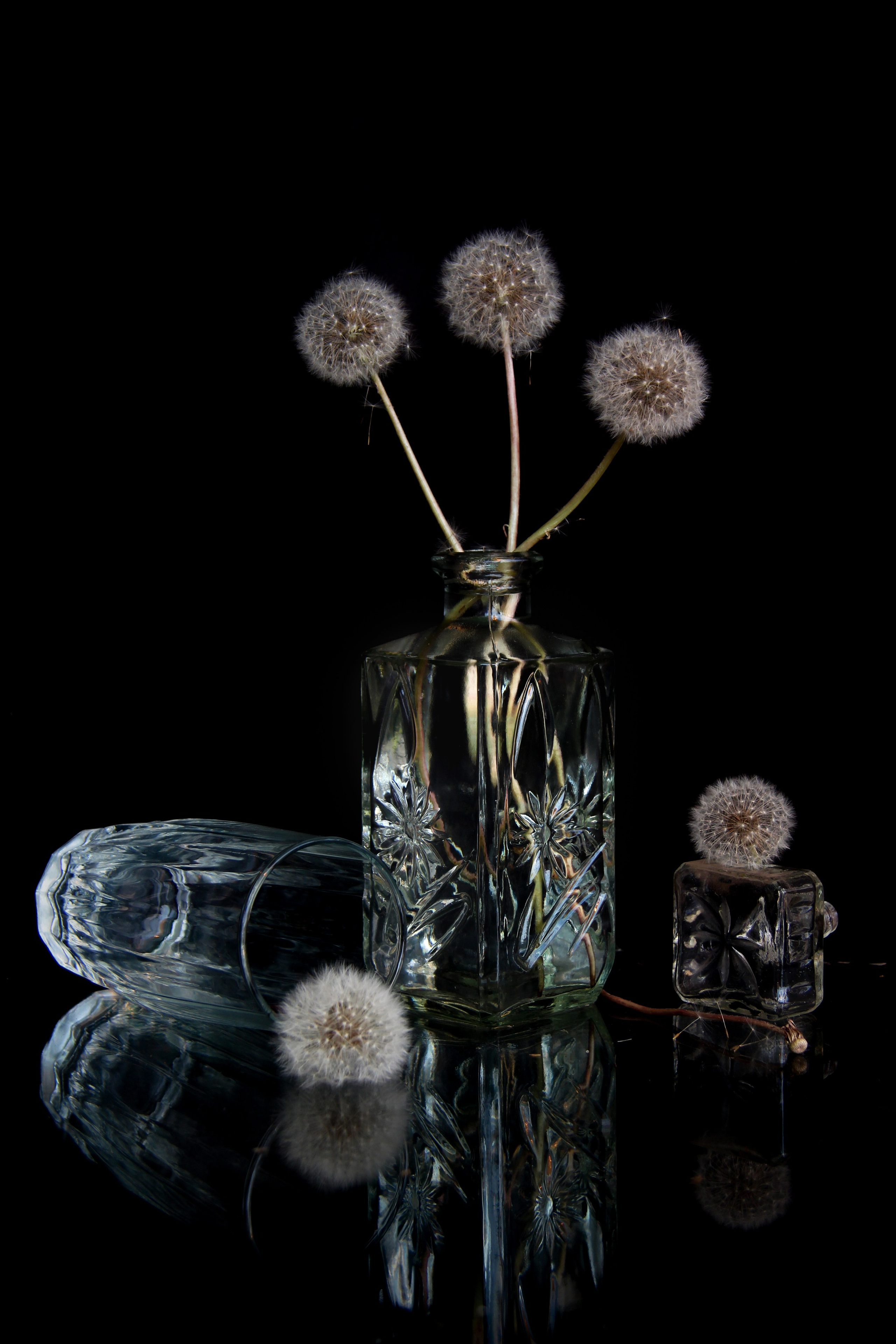 Курс «С нуля»