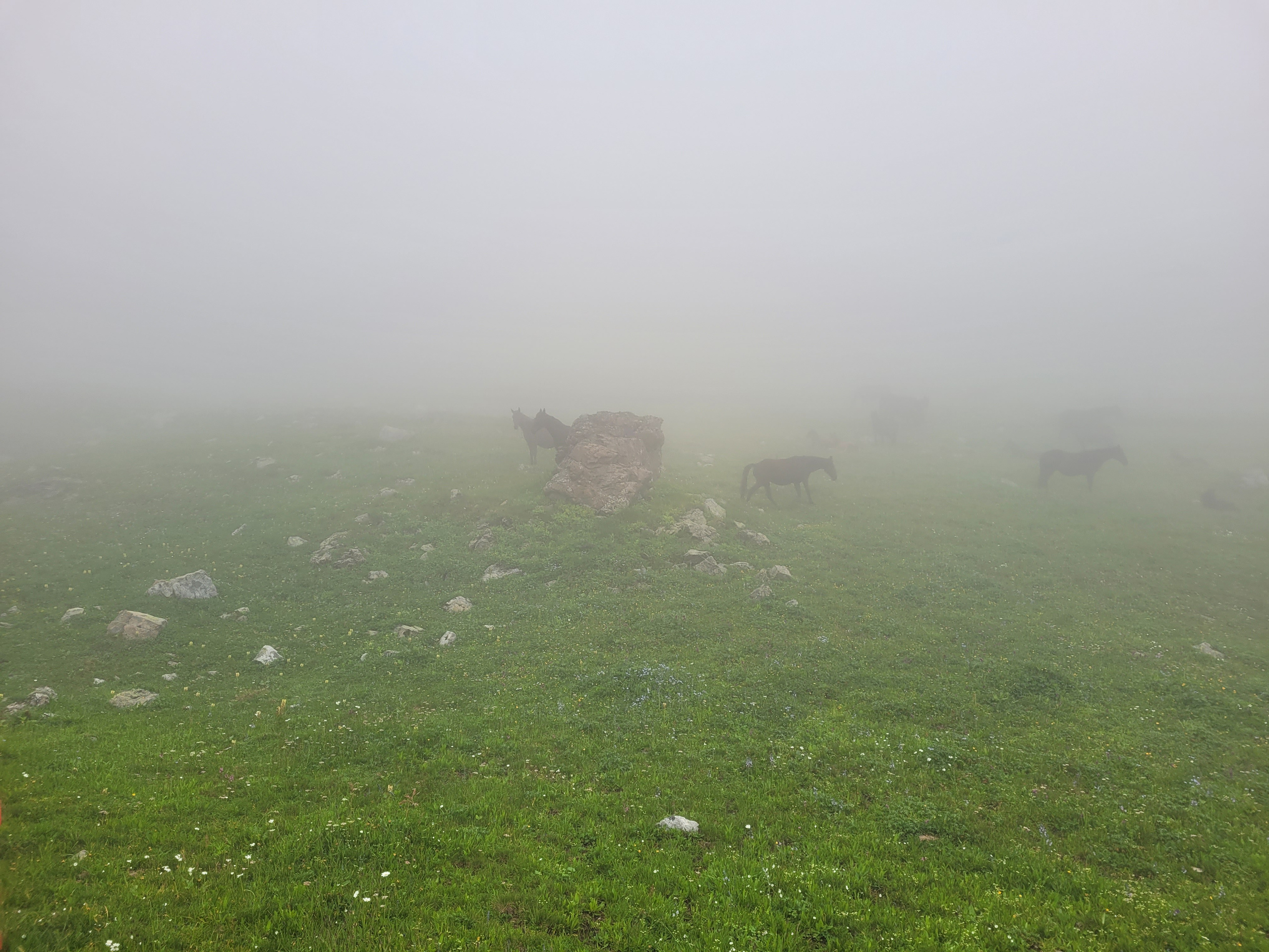 Туманы Загедана. Пейзажная и архитектурная фотография в Туле, Татьяна Silva