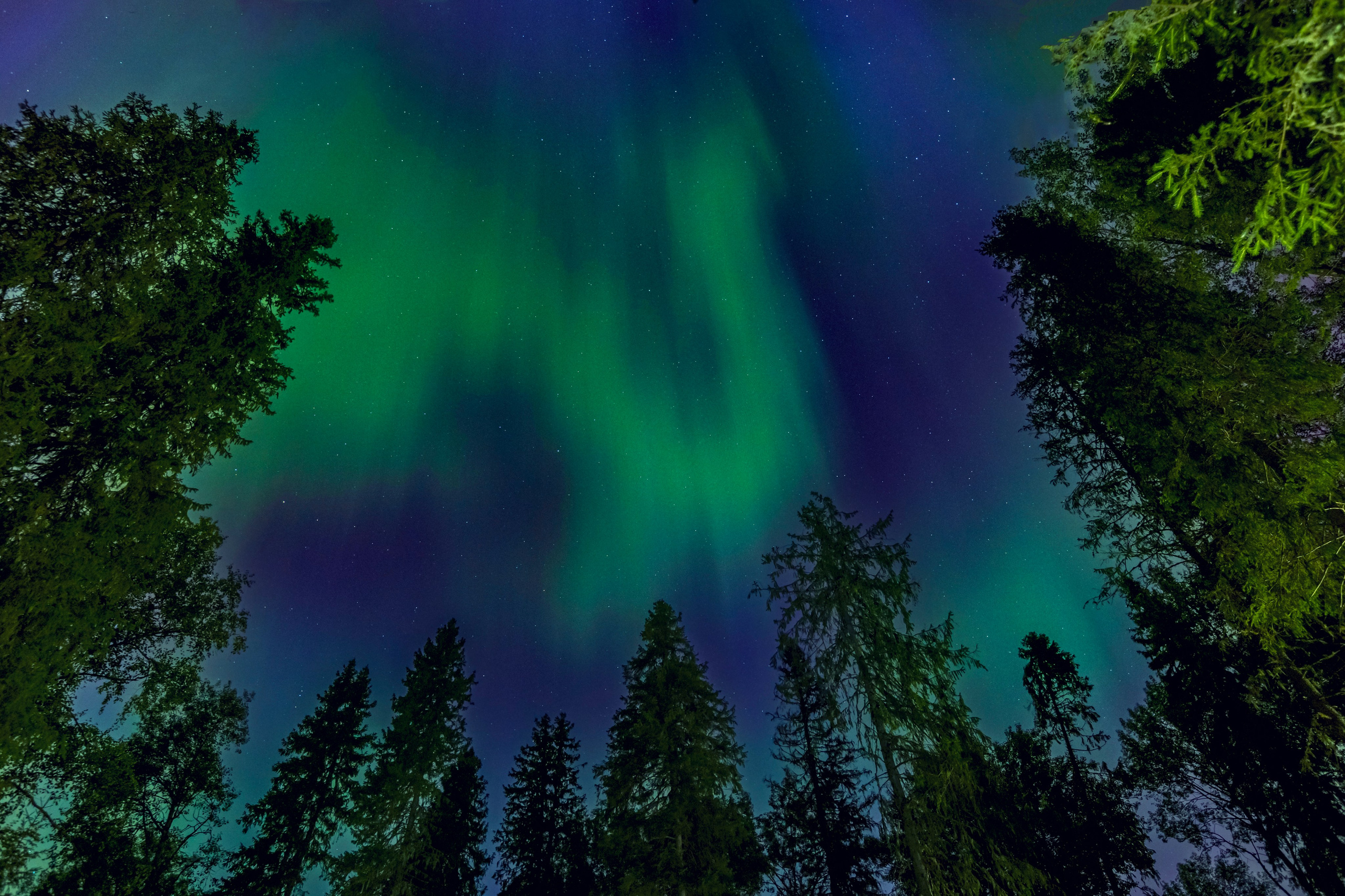 Сияние Коми. Пейзажная и архитектурная фотография в Туле, Татьяна Silva