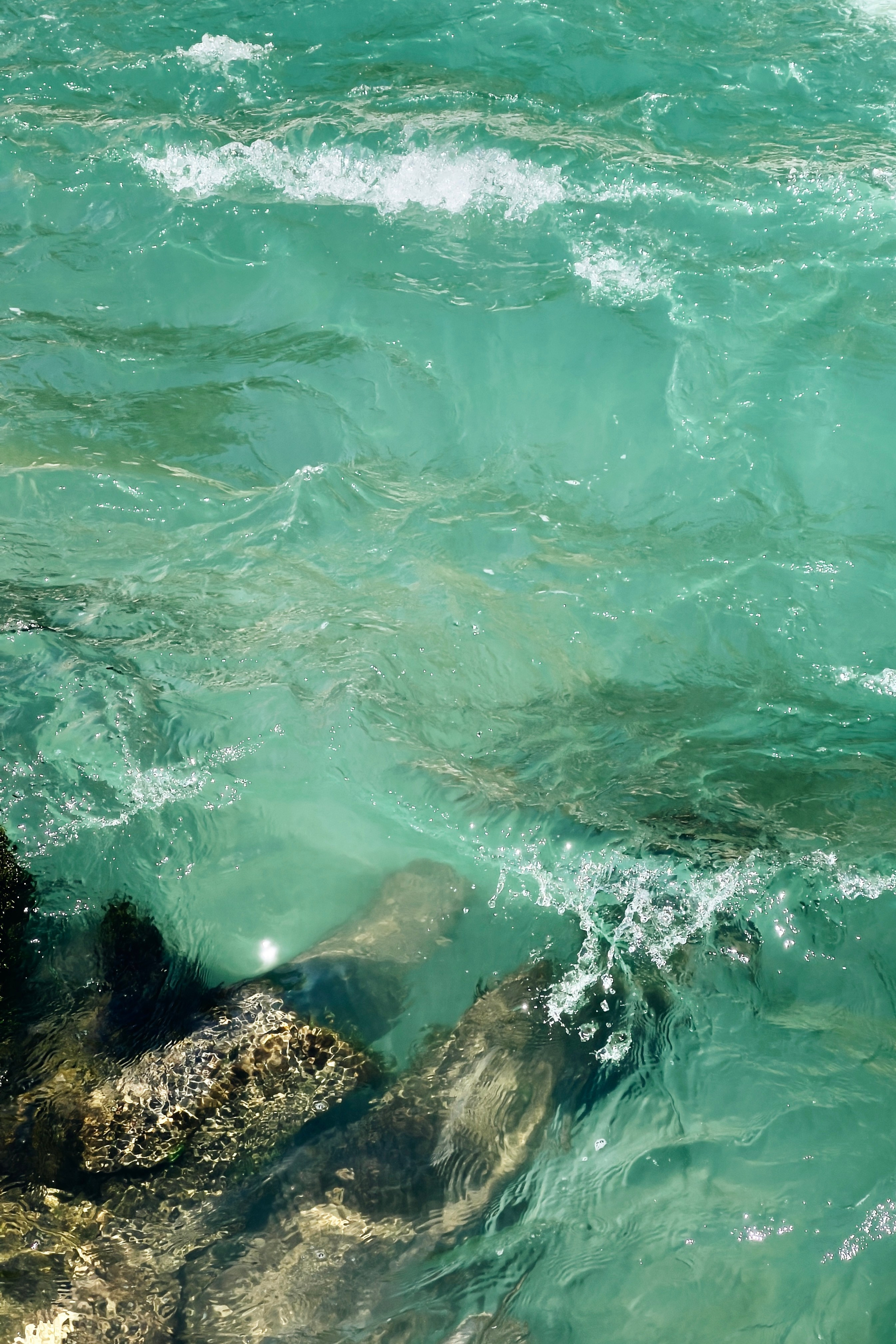 EKATERINA BOGDANOVA ─ PHOTOGRAPHER