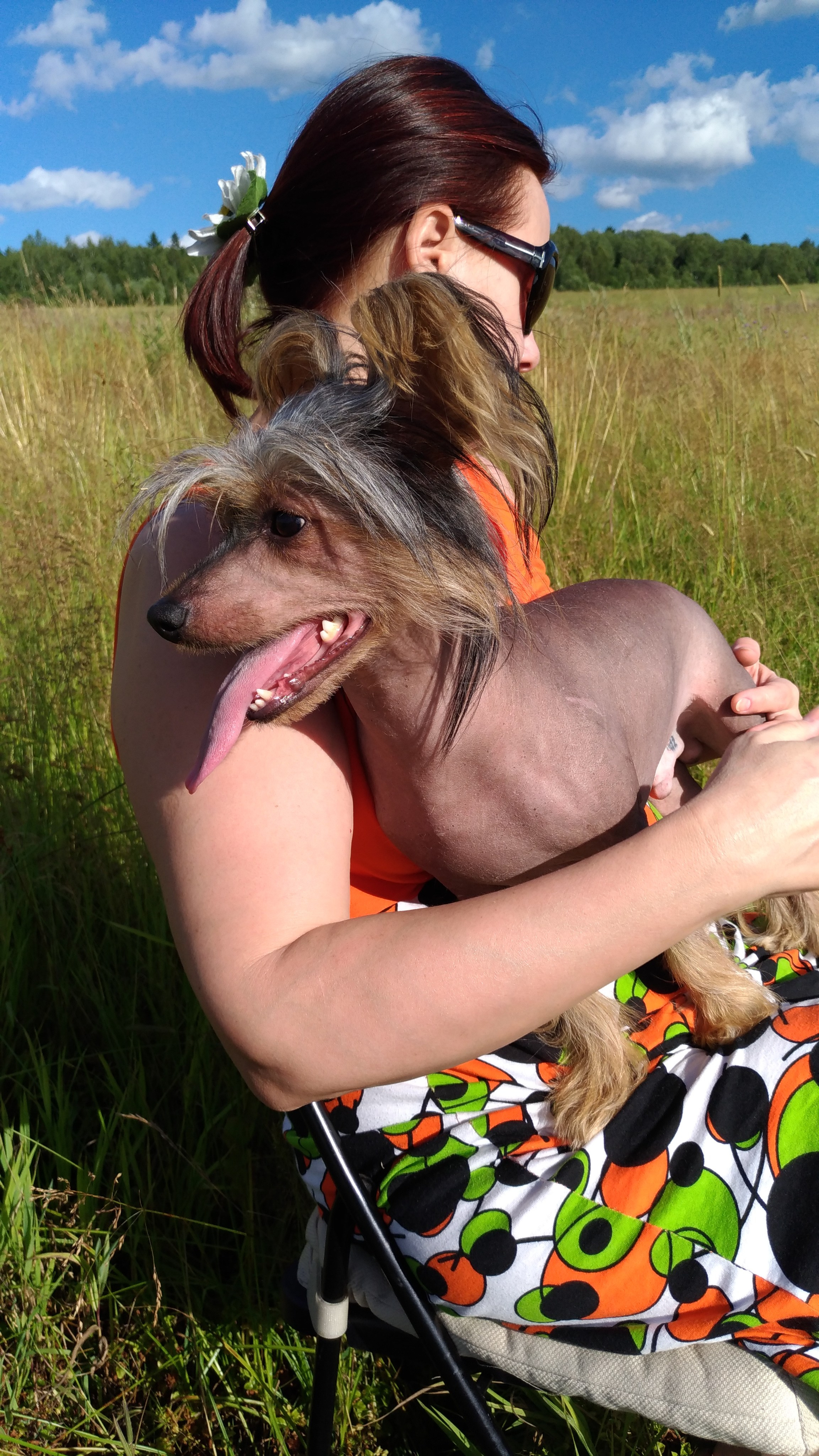 В поле под присмотром сокола. Питомник китайских хохлатых собак Poale Ell: купить щенка в питомнике