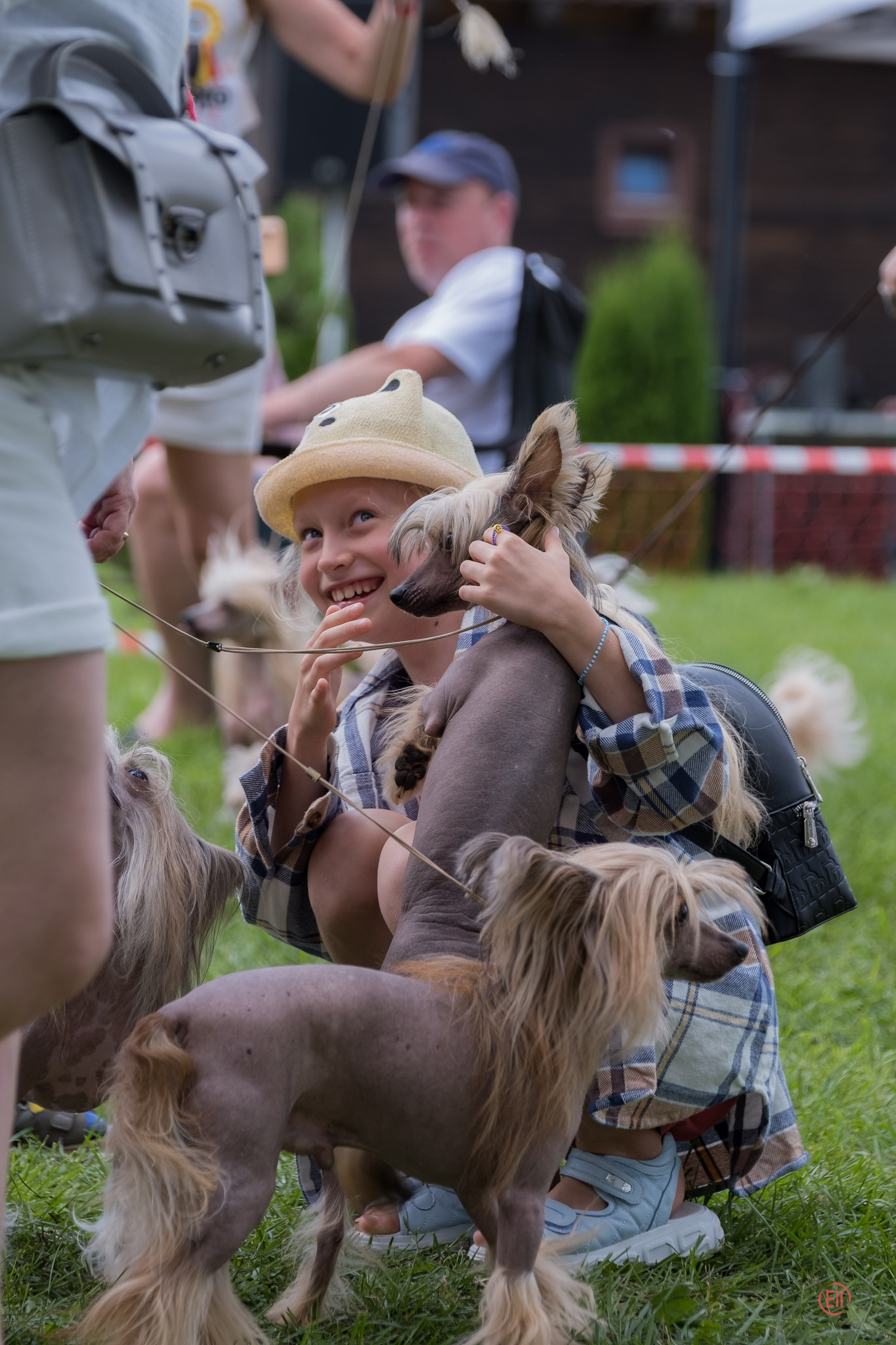 Липецк. Выставка собак. Питомник китайских хохлатых собак Poale Ell: купить щенка
