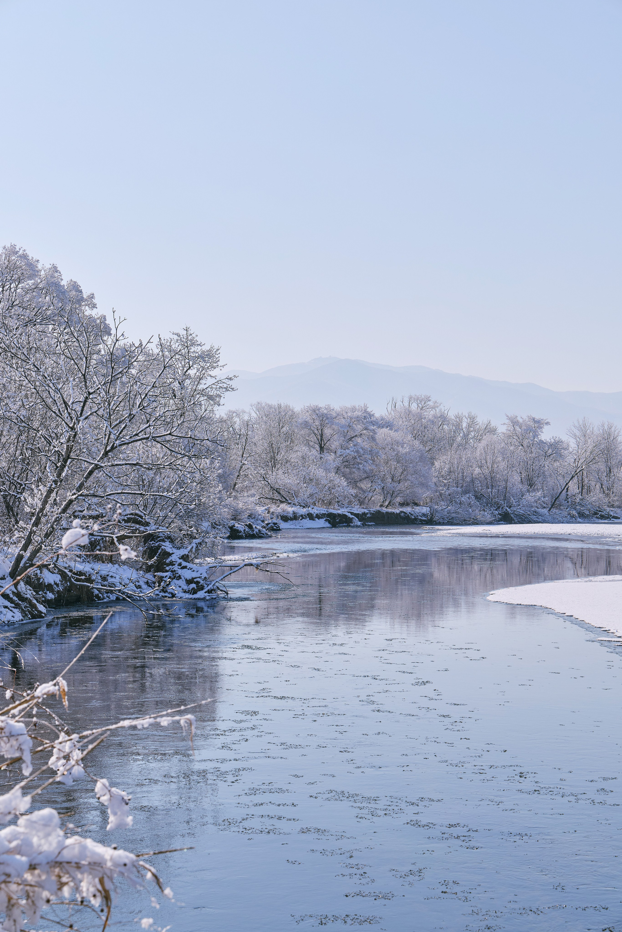 Зимняя сказка в Золотой Долине - пример мартовского снегопада в Приморье, запечатлённого на фото фотографом из Находки Олегом Морозом