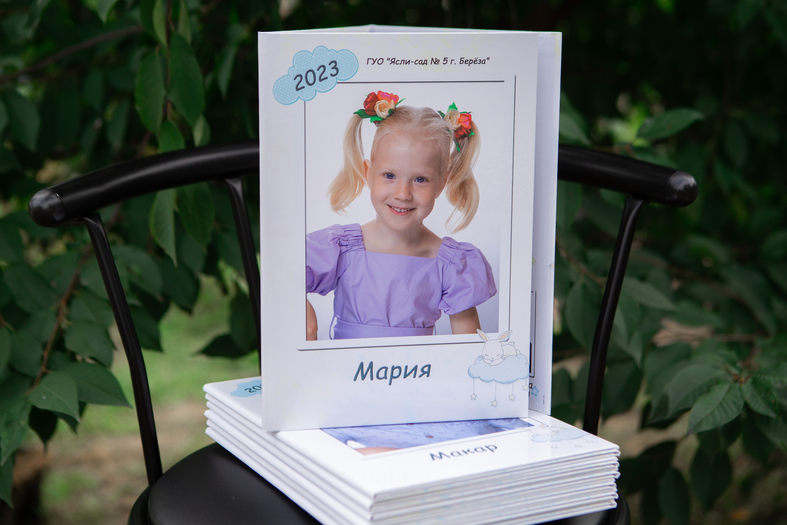 Детский сад. Выпускные альбомы Берёза и Брестская область