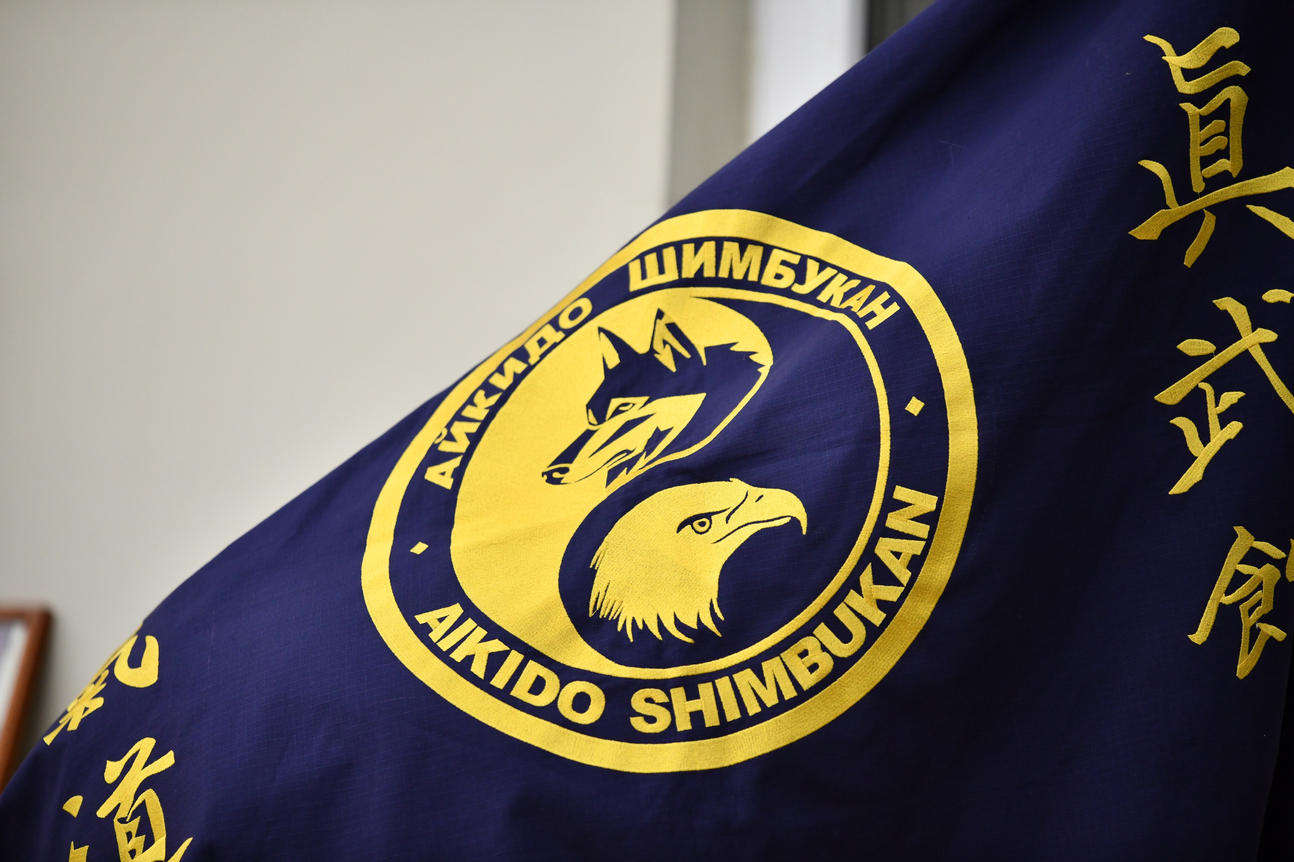 Айкидо. Семинар с Матсуо Масазуми. Фото детских спортивных мероприятий и всякое интересное через объектив