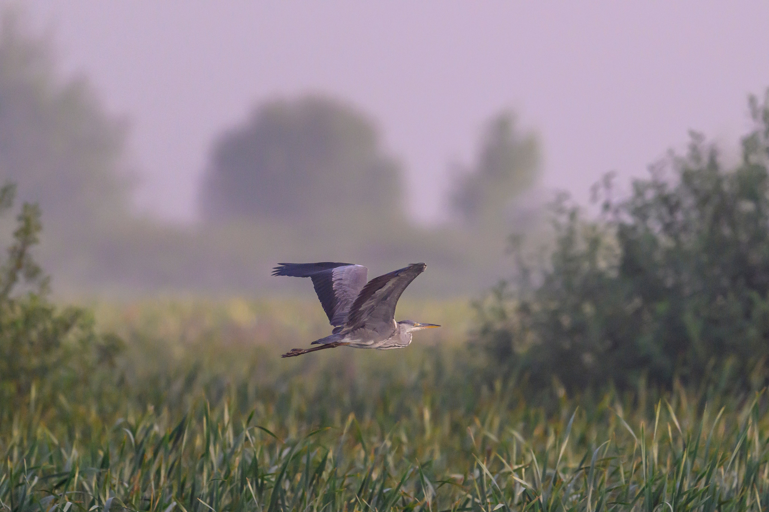 После шторма. After the storm. Фотограф Сергей Пупонин