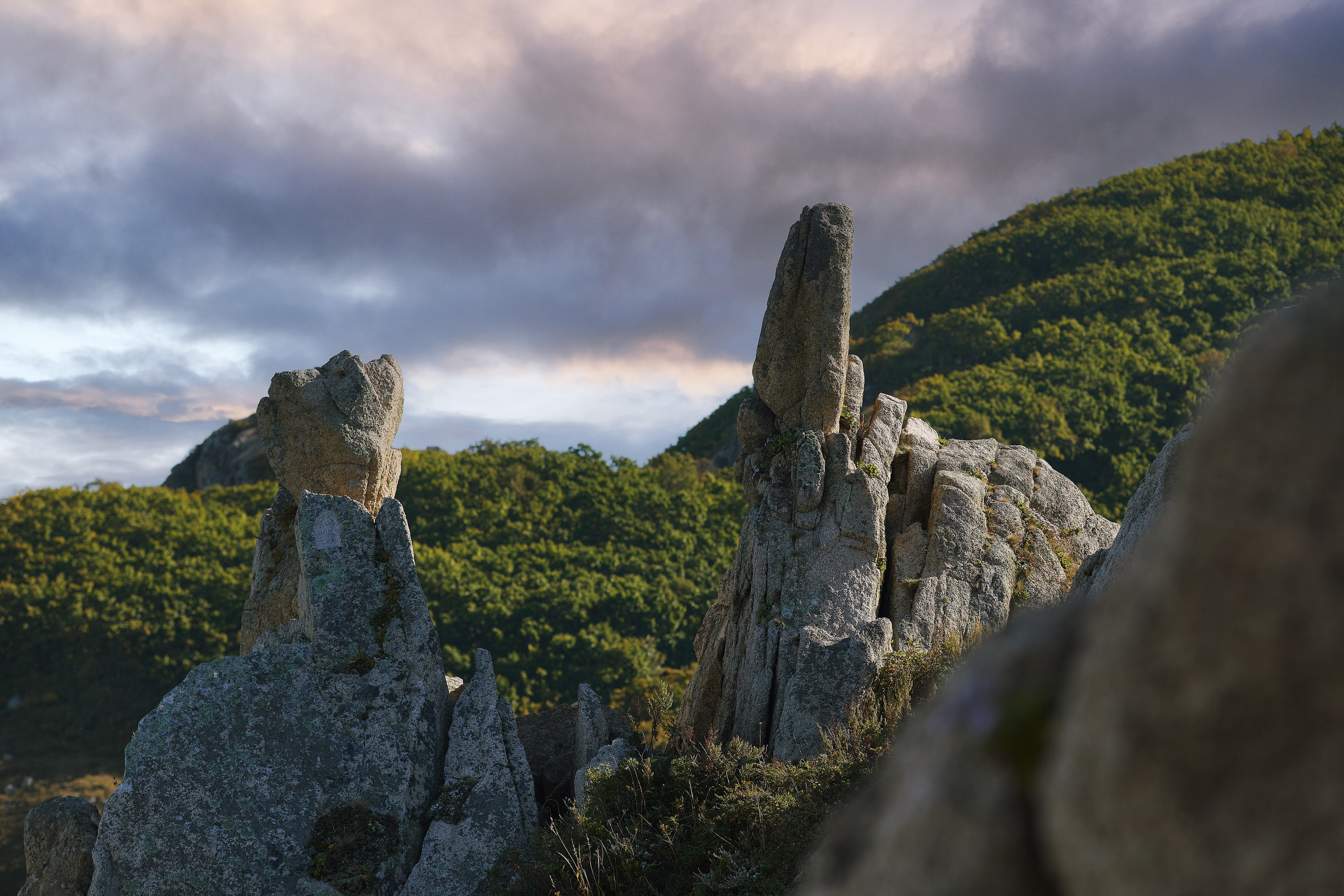 Фотография скал на вершине бухты Большой Ежовой в окрестностях Врангеля