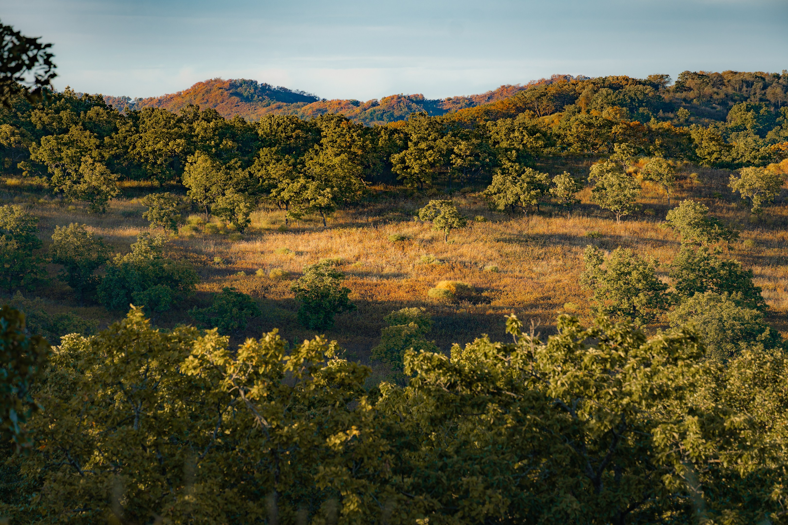 Бухта Льва | Мыс Сосновый. Иван Зайцев (IZIART) — создание культурного кода через фото и видео