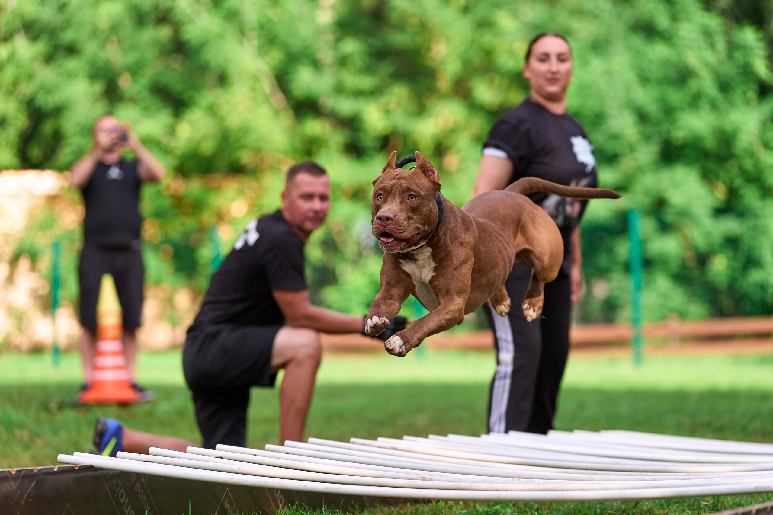 Jump'n'Gym JUMP! — 2024. Фотограф-анималист Михаил Манухин