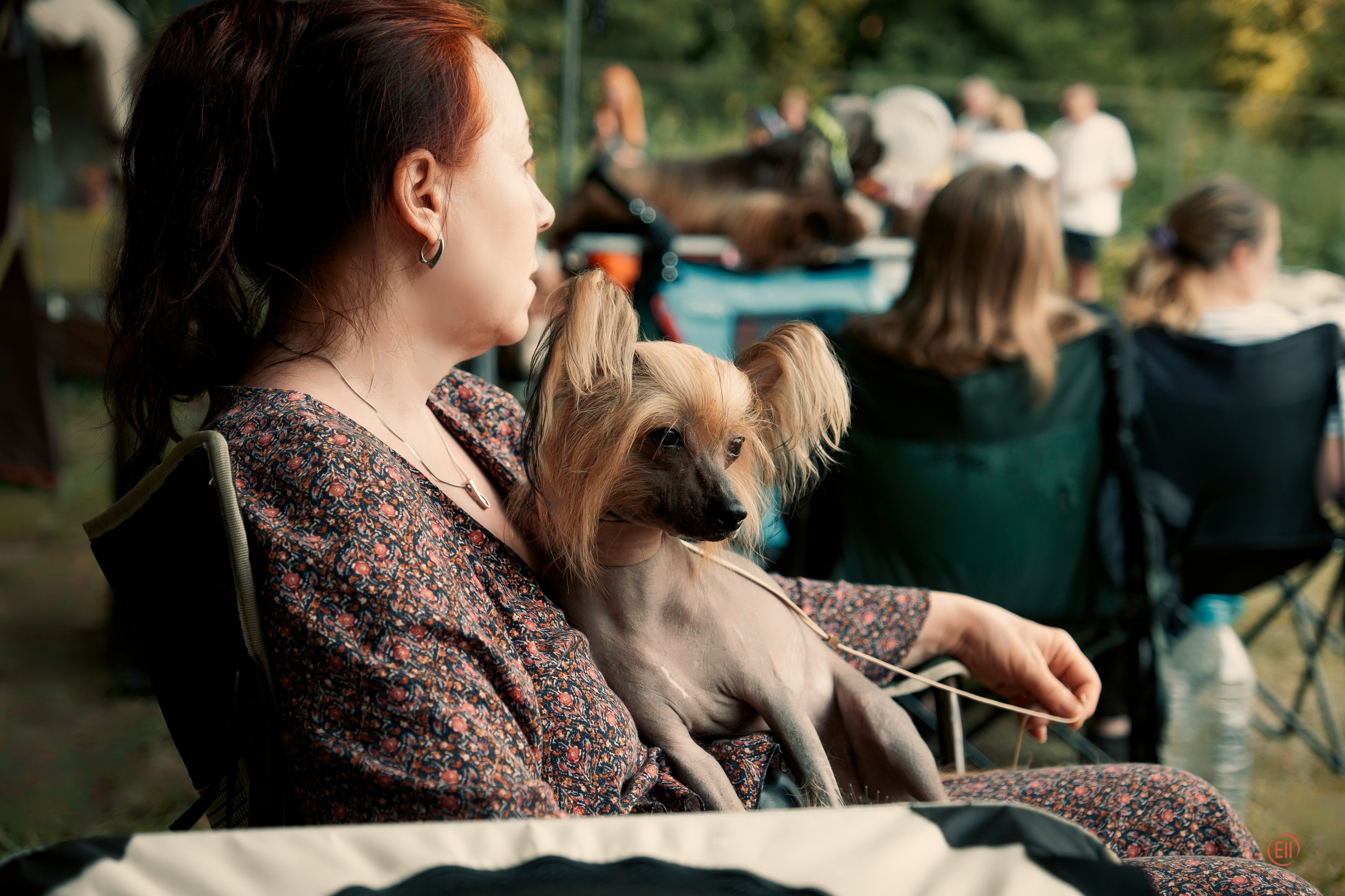 Ashantal Emmanuel Poale Ell. Chinese Crested Dog Kennel Poale Ell