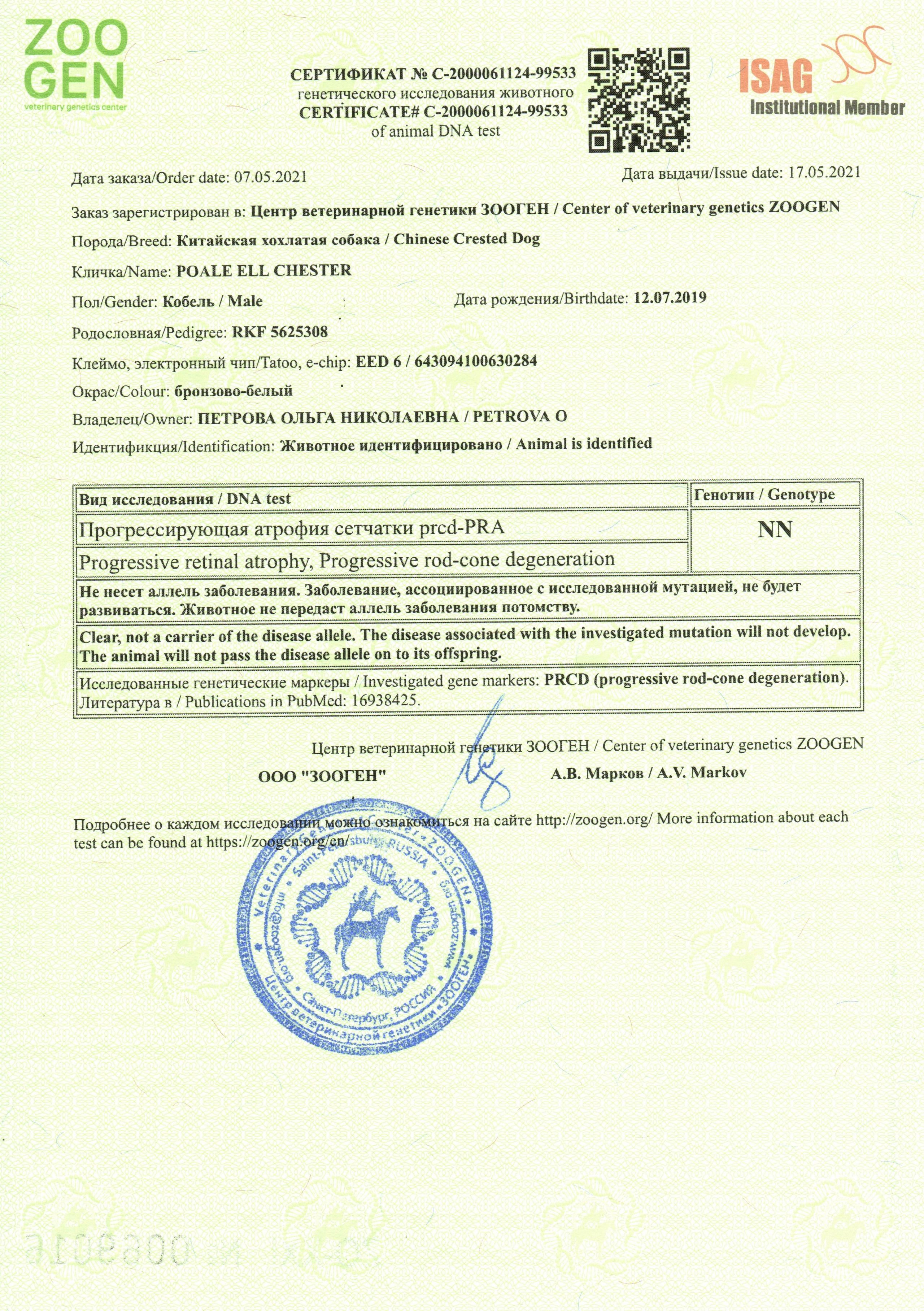 Poale Ell Chester. Питомник китайских хохлатых собак Poale Ell: купить щенка