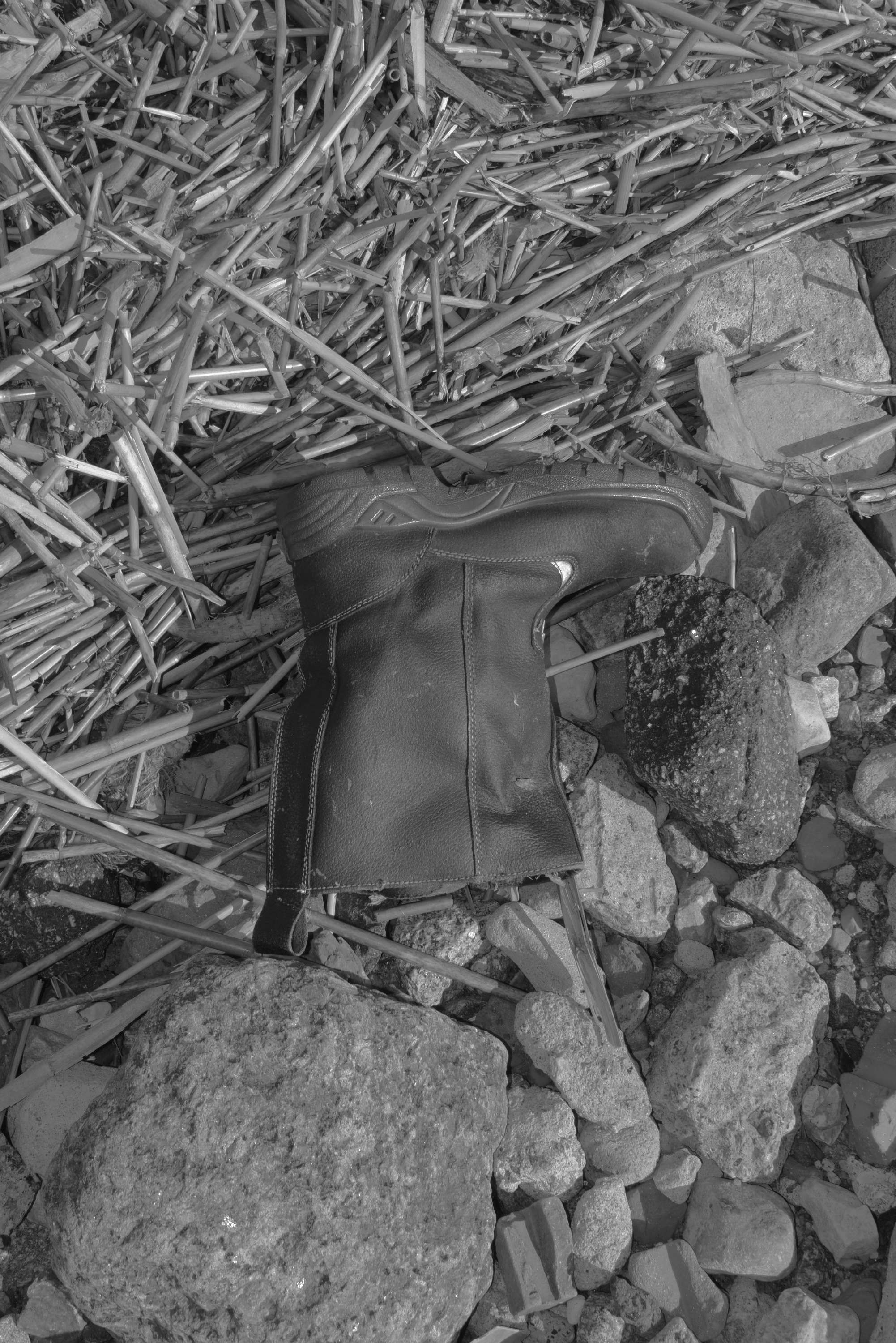 About fish. Maria Pilkevich