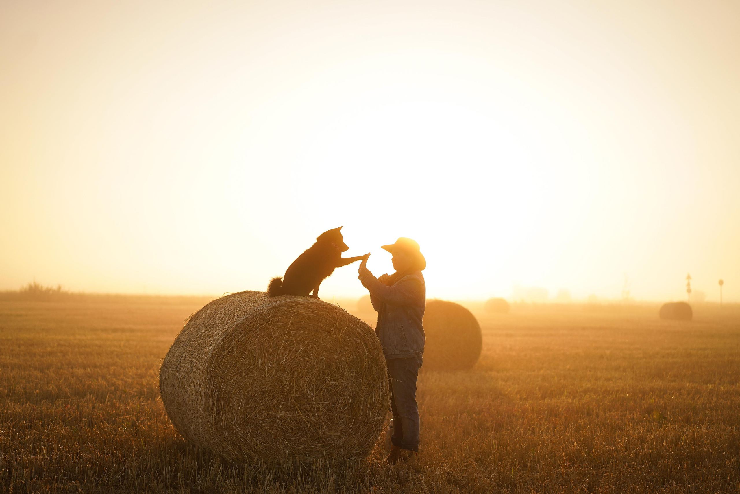 Фотограф-анималист в Санкт-Петербурге Яна Мартынова