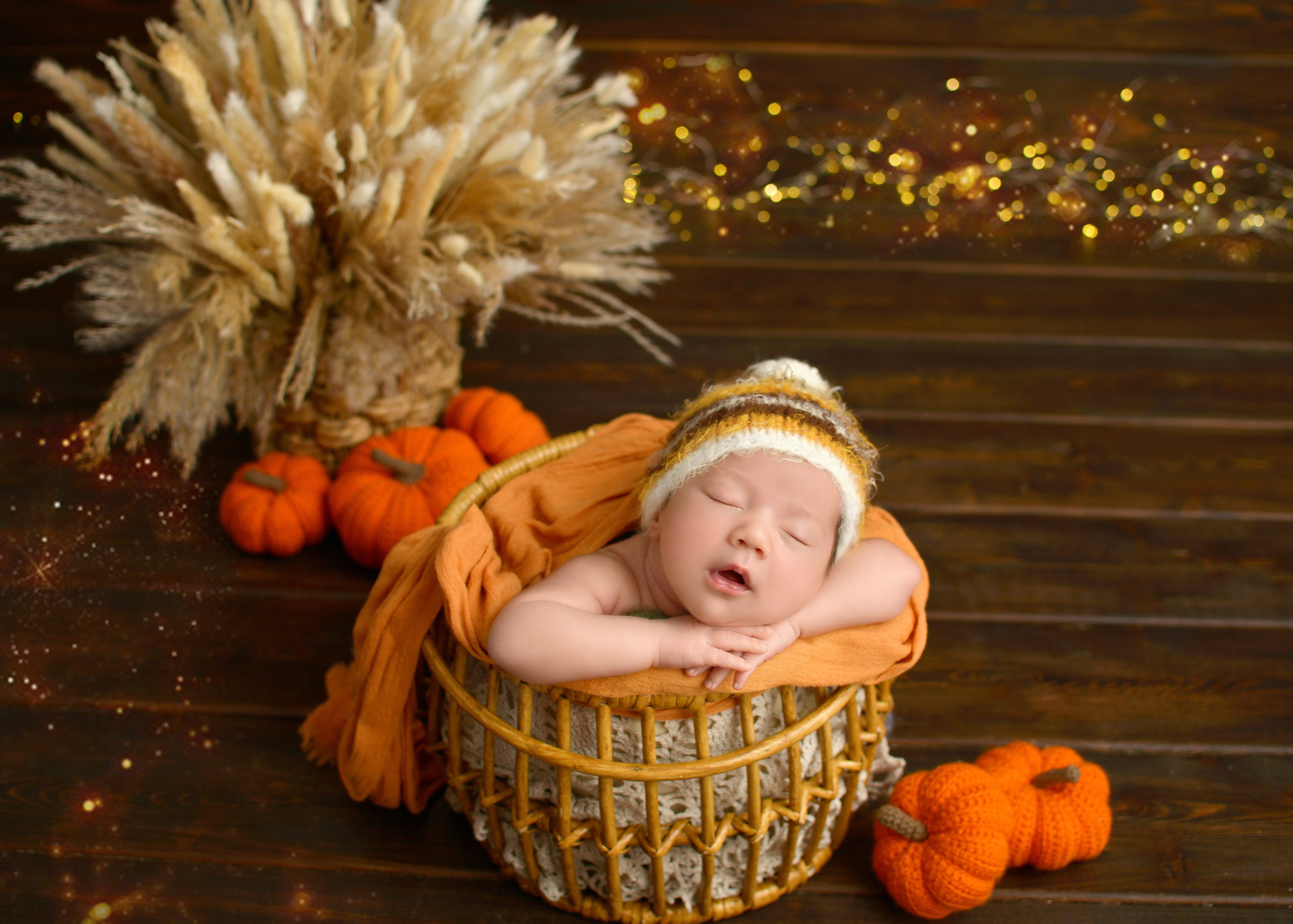 Фотограф новорожденных Краснодар Малышенко Надежда