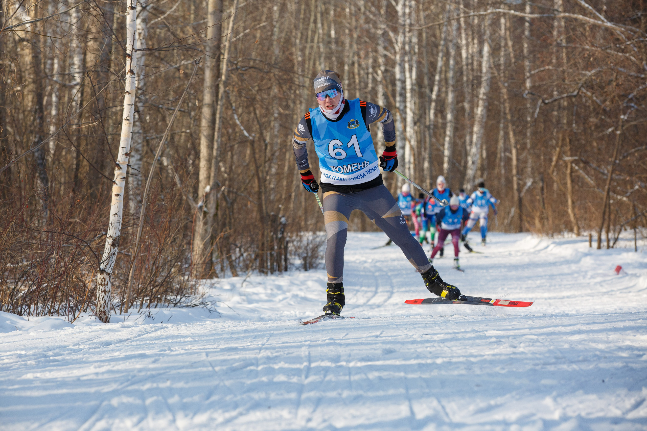 Мой фотомир