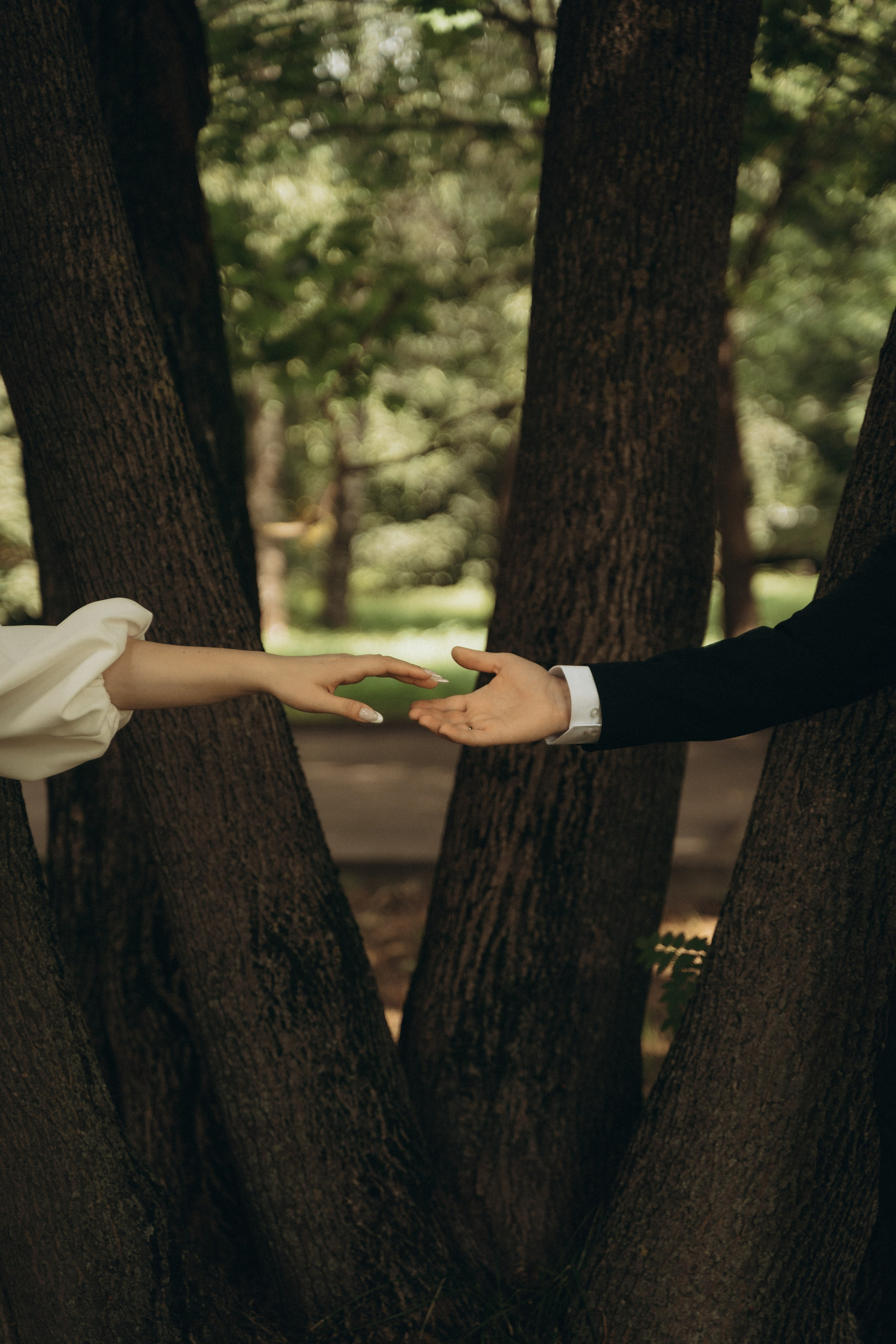 Свадебная фотосессия Стефан и Ангелина 24.07.26 💍🤍. Семейный фотограф Егор Веденин