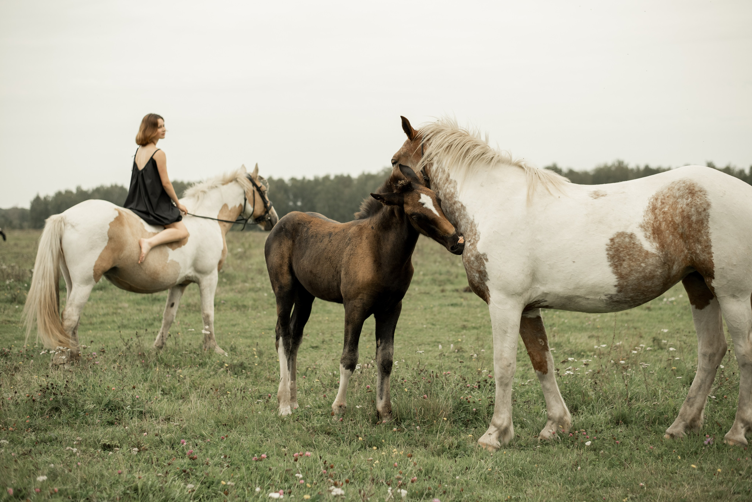 Фототур в Коломну. Семейный фотограф Екатерина Шаманаева