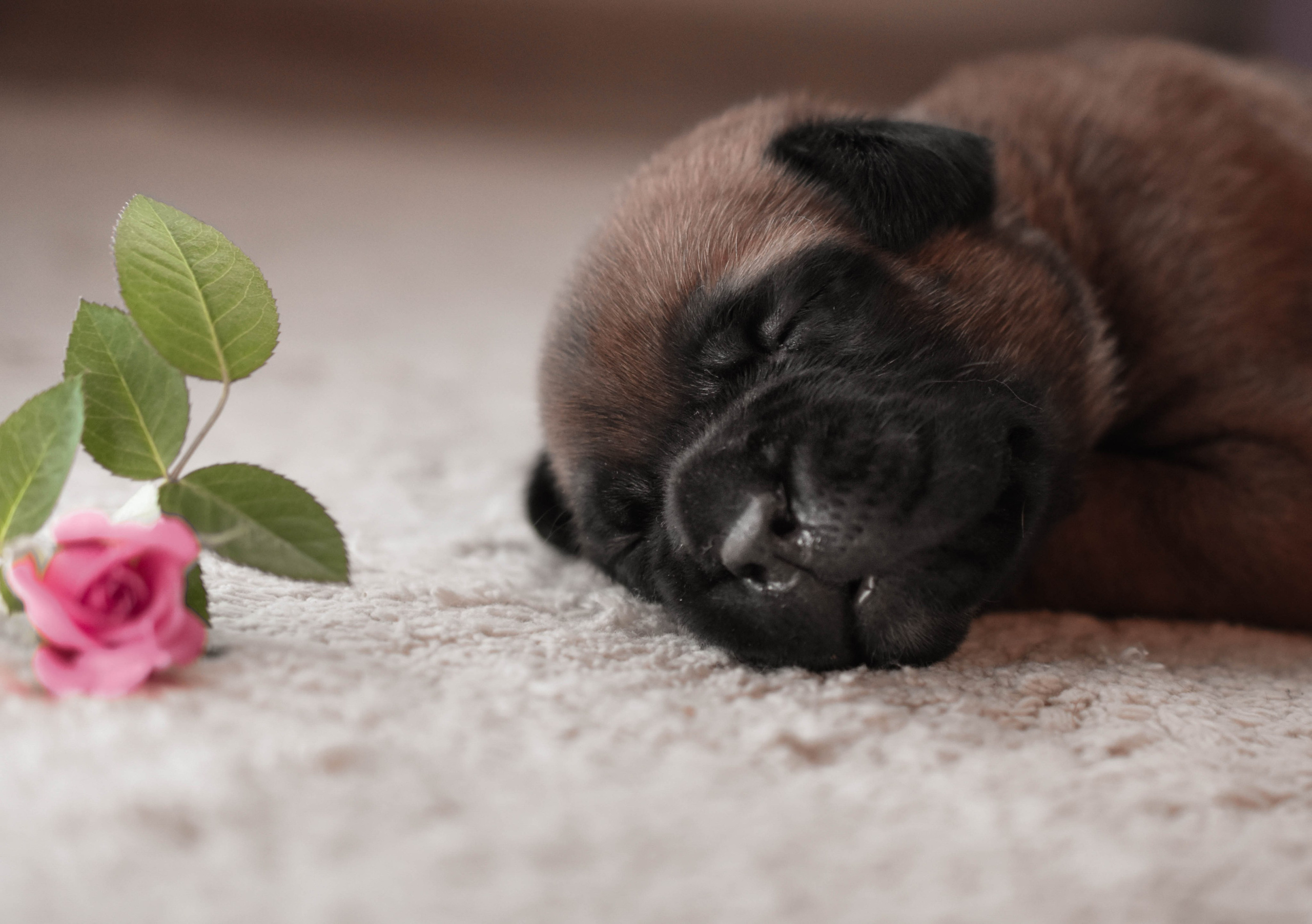В созвучии с природой. Фотограф Светлана В. Пронина, Москва